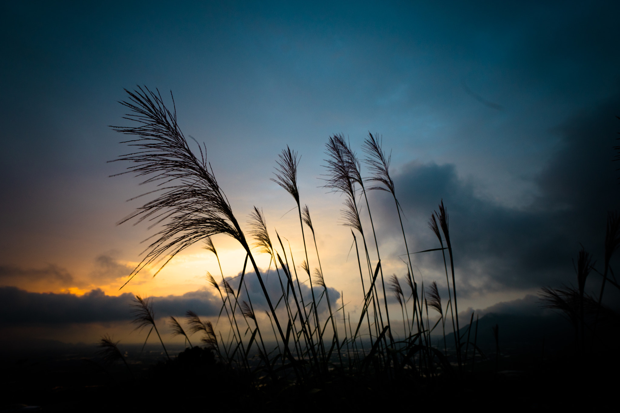 Sony a7 + Sony Vario-Sonnar T* 16-35mm F2.8 ZA SSM sample photo