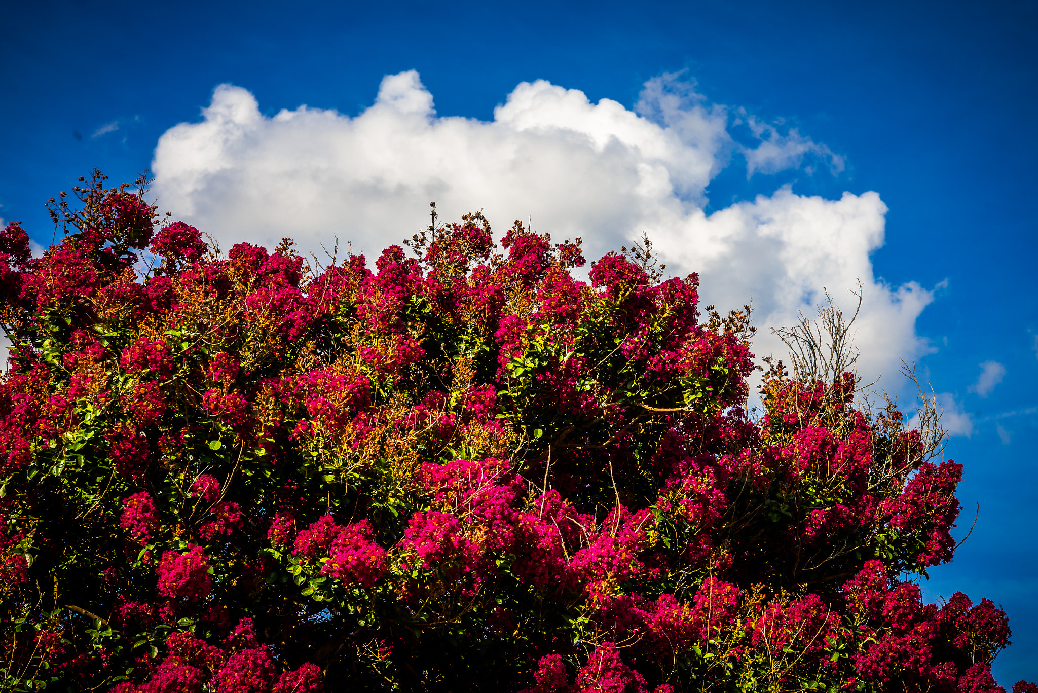 Nikon AF-S Nikkor 24-70mm F2.8E ED VR sample photo