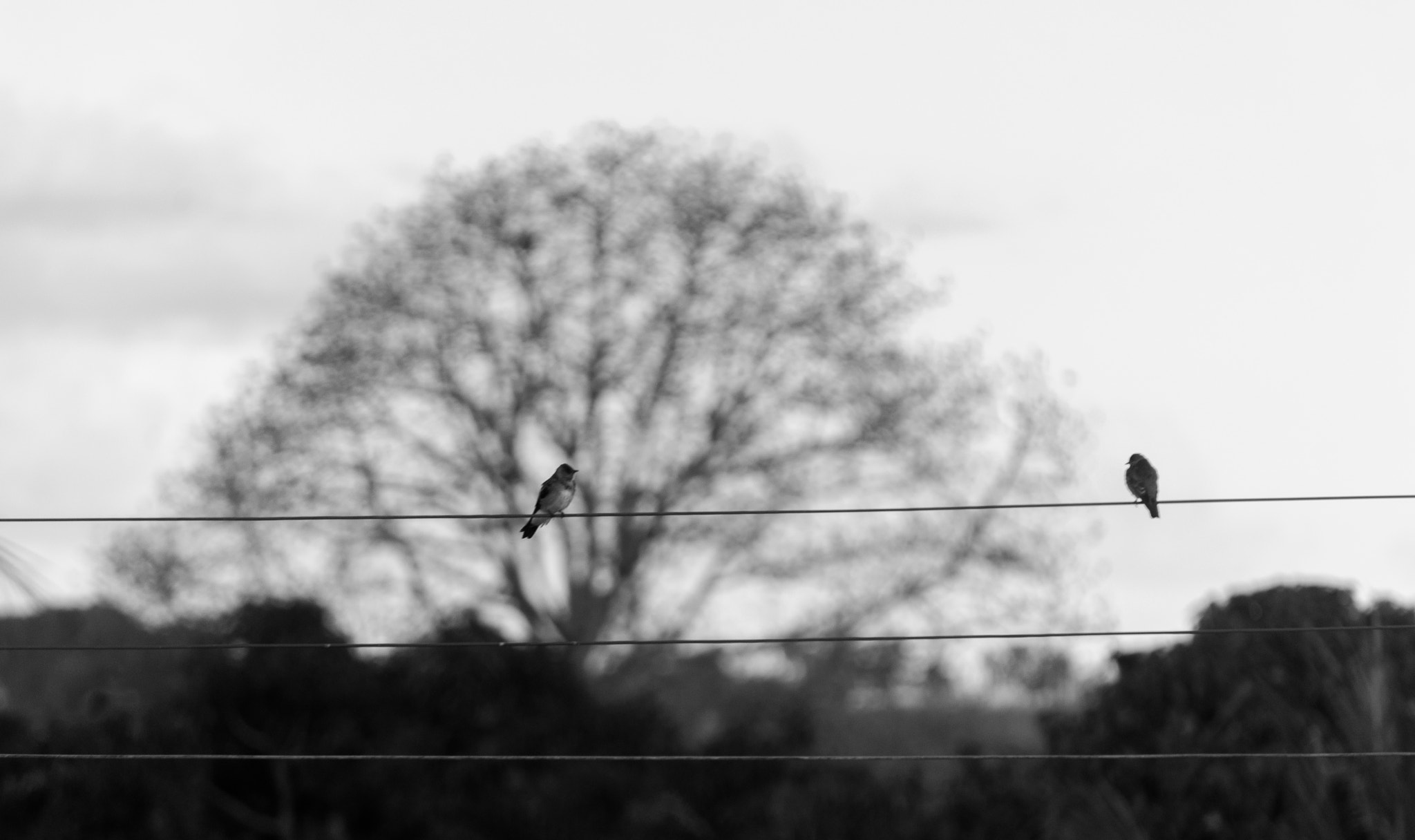 Nikon D200 sample photo. Love photography