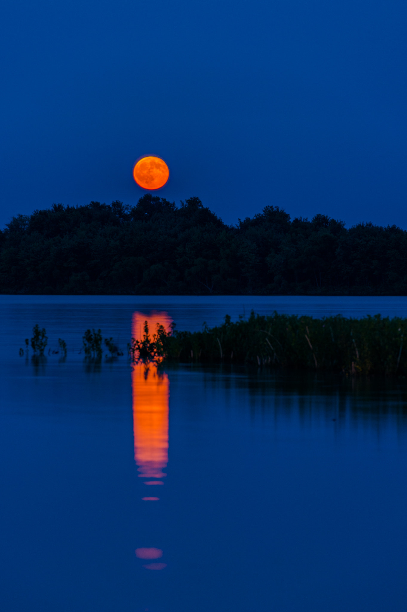 Nikon Df sample photo. Moonrise photography