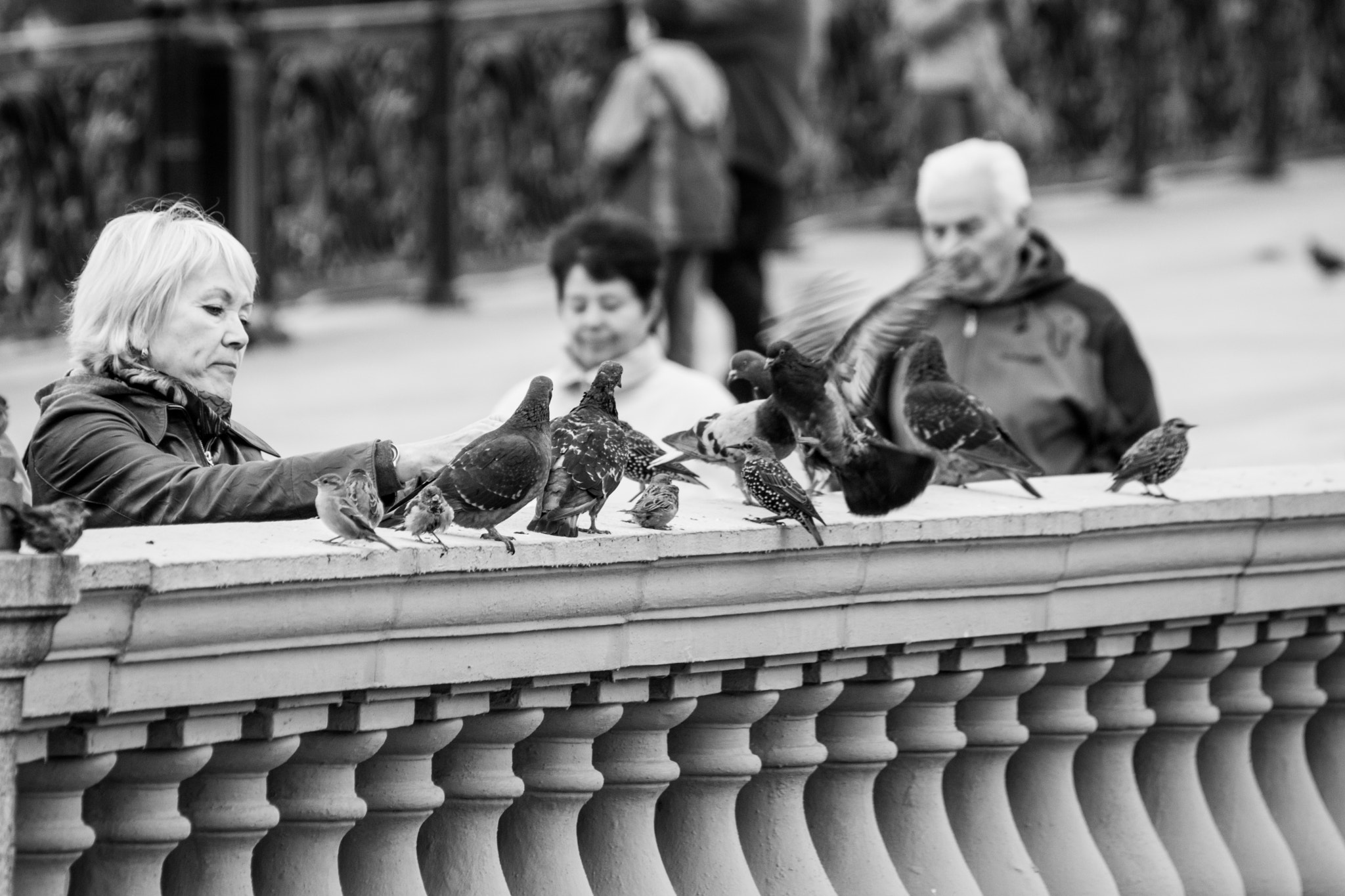 Sony SLT-A77 sample photo. Friends photography