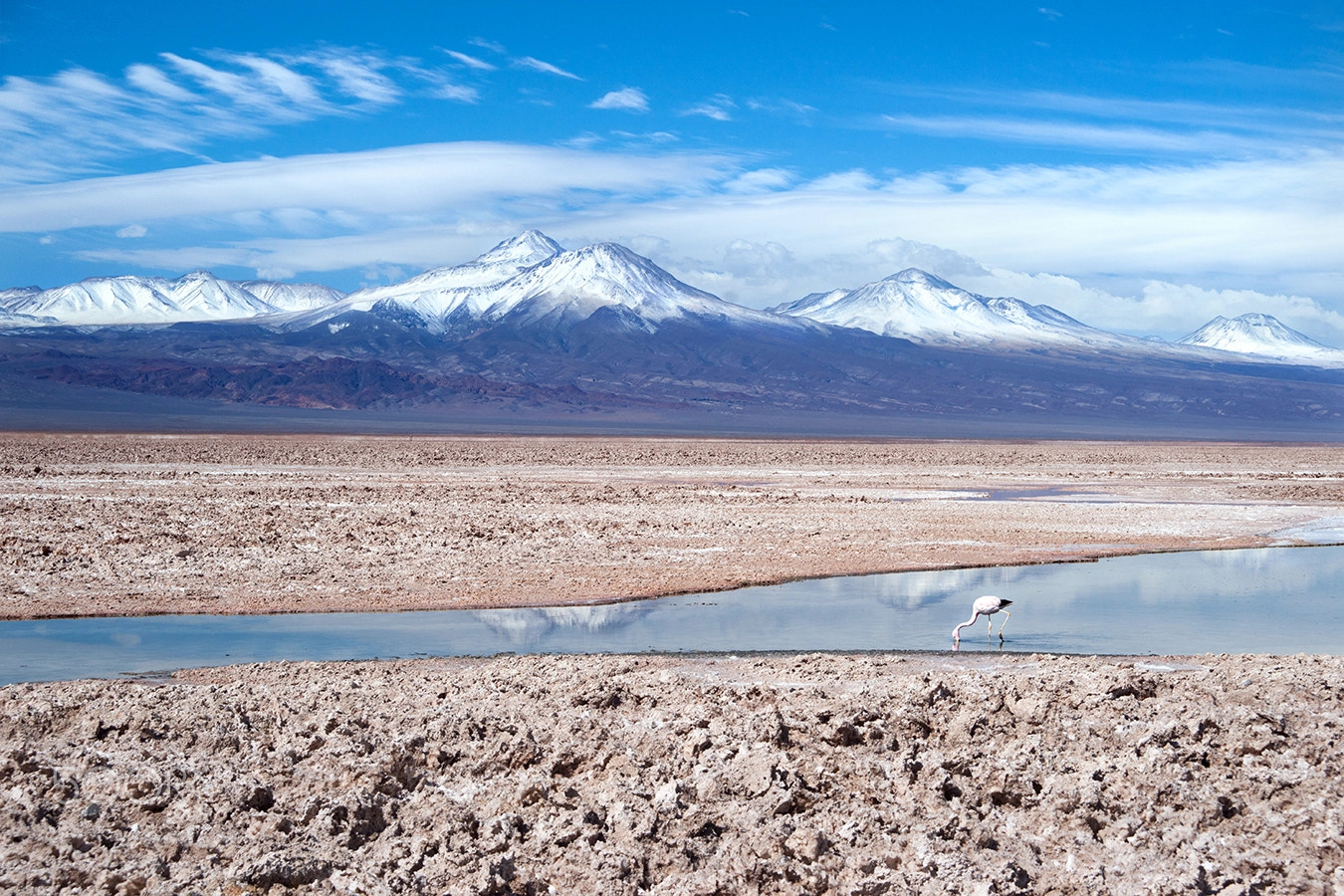 Sony Alpha DSLR-A900 + 35-70mm F4 sample photo. Salar de atacama photography