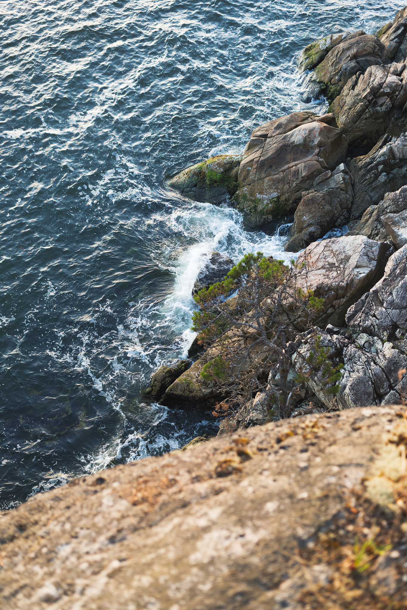 Canon EF 40mm F2.8 STM sample photo. Sea to sky - rugged shore photography