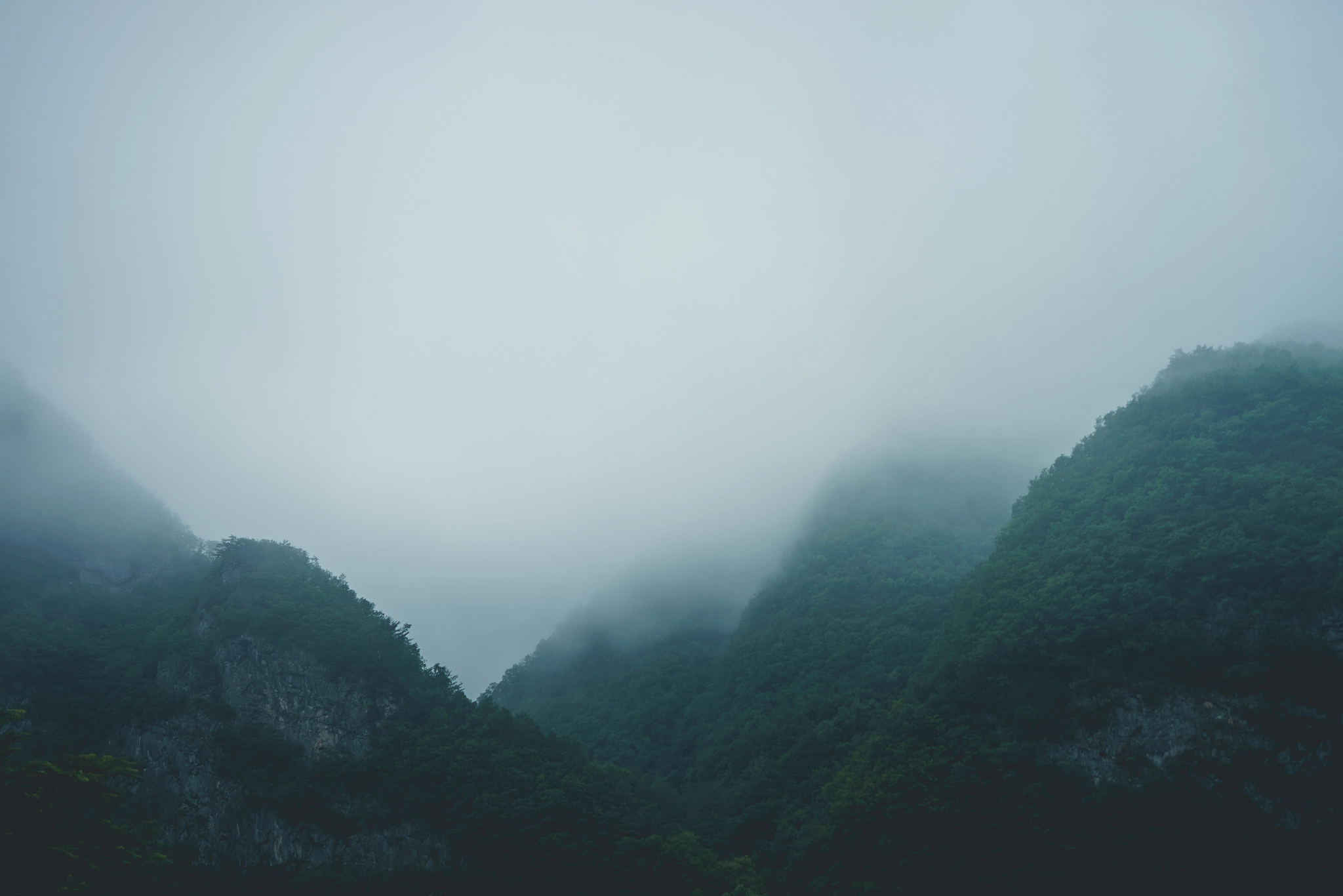 Sony a7 + ZEISS Batis 25mm F2 sample photo. Foggy mountains photography