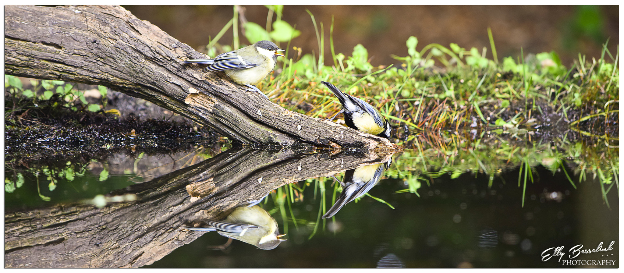AF Zoom-Nikkor 35-80mm f/4-5.6D sample photo. By the water photography