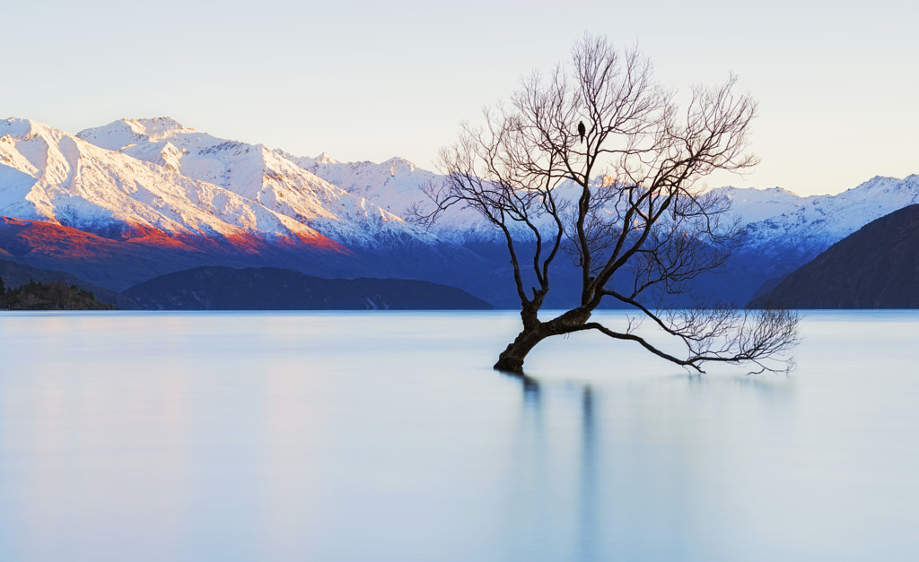 Serenity At Lake Wanaka by Jonathan Teo / 500px