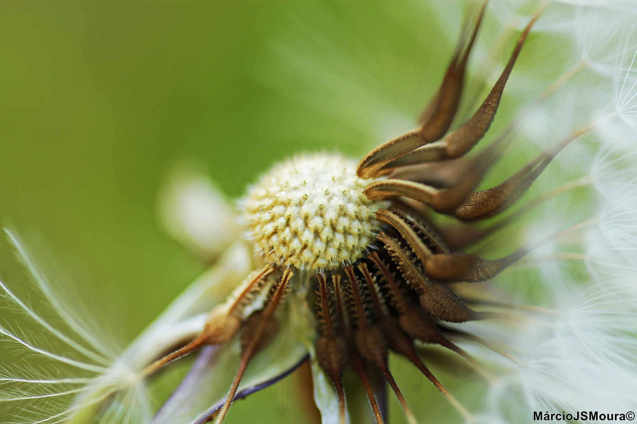 Sigma 24-105mm f/4 DG OS HSM | A sample photo. S/t 5193 photography