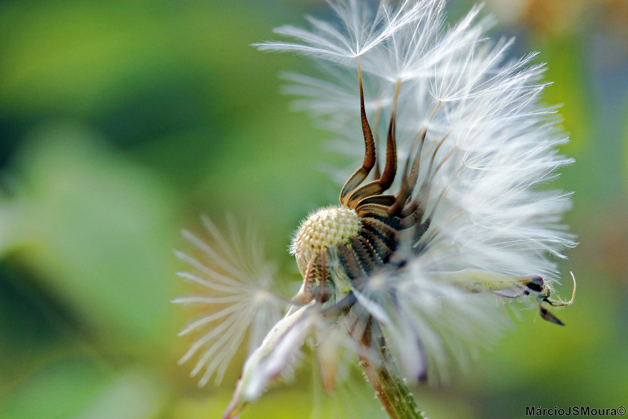 Sigma 24-105mm f/4 DG OS HSM | A sample photo. S/t 5197 photography