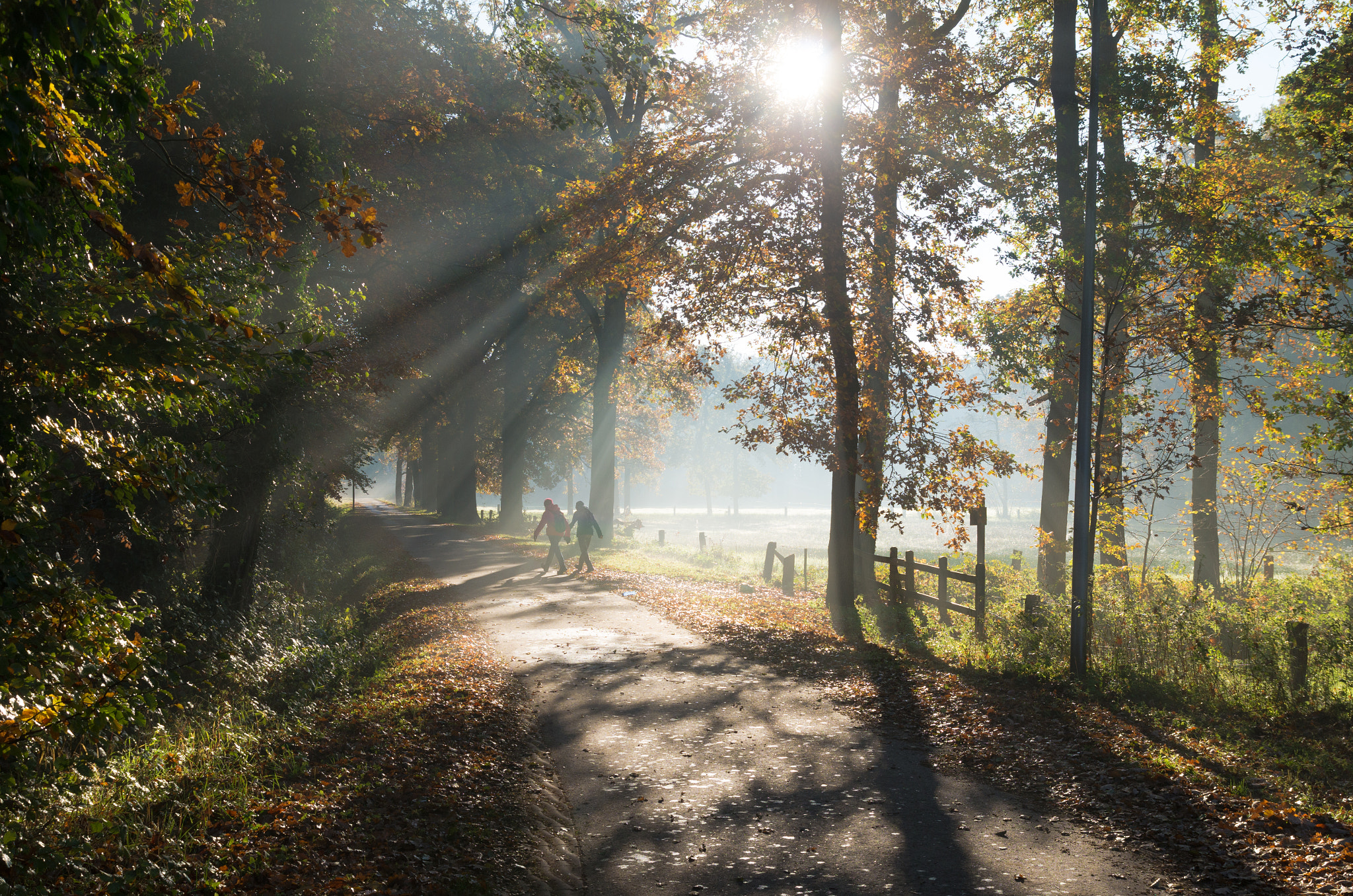 Pentax K-5 IIs sample photo. Hikers in autumn forest photography