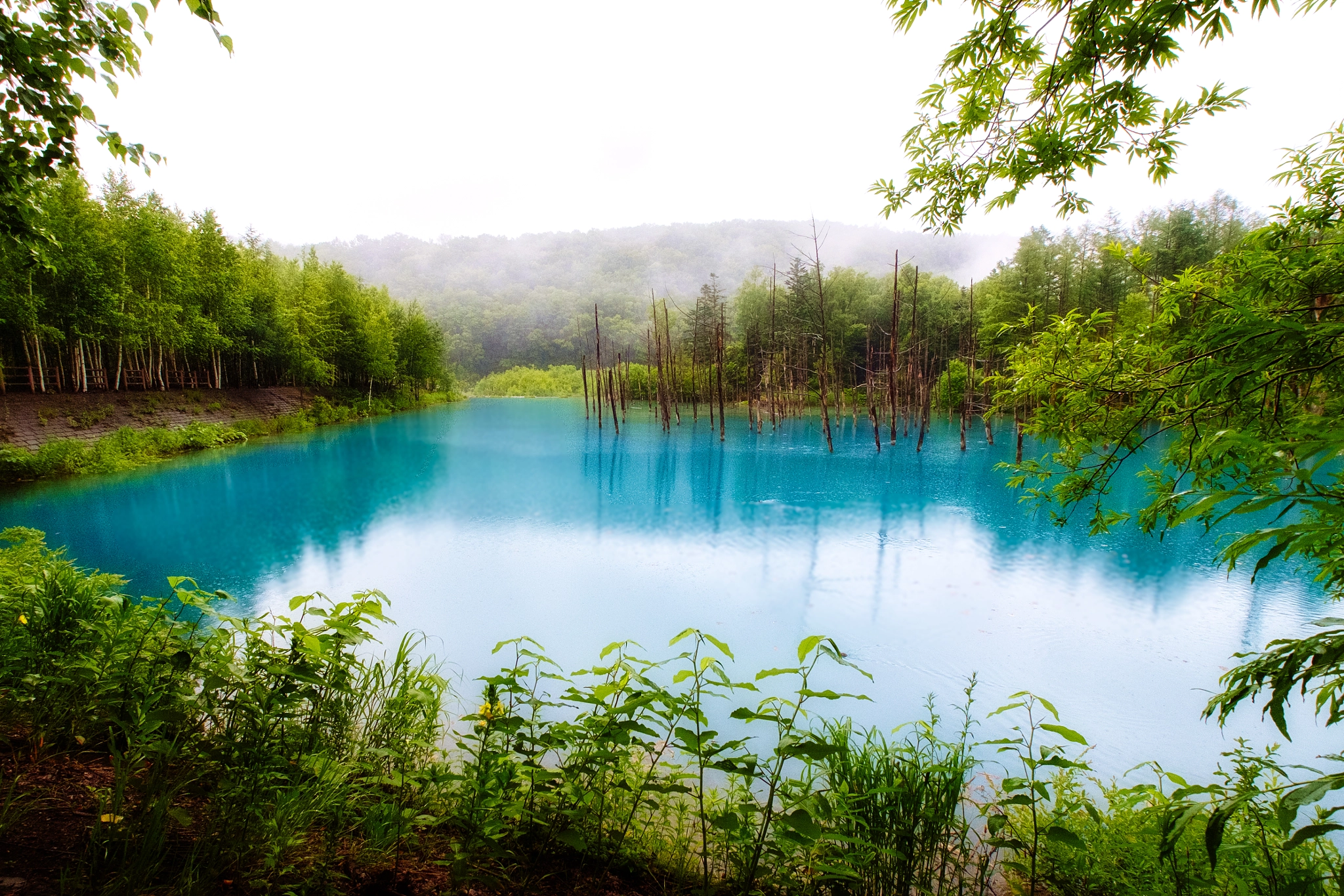 Fujifilm X-E1 + Fujifilm XF 10-24mm F4 R OIS sample photo. Blue pond photography