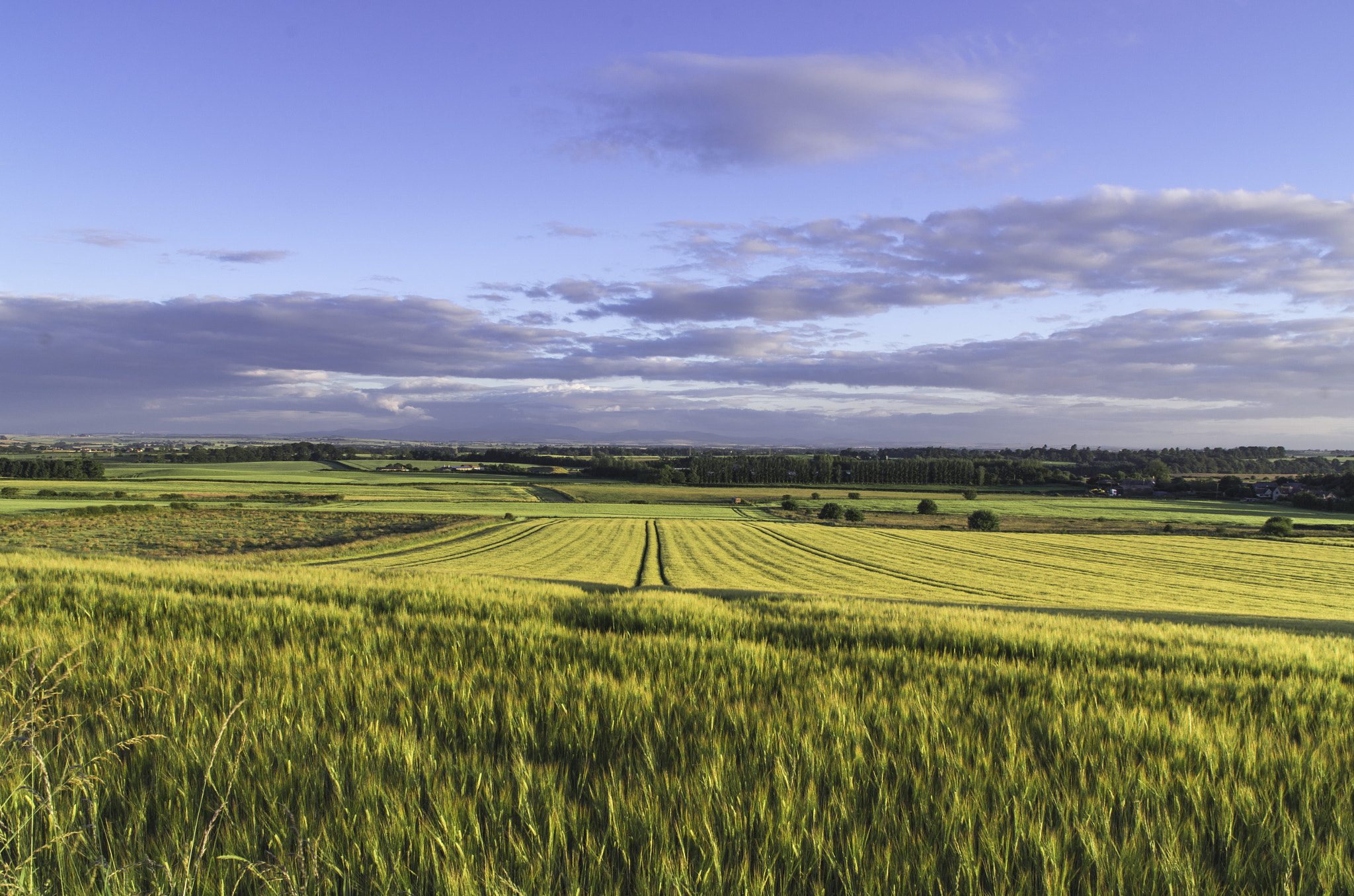 Sigma 17-70mm F2.8-4 DC Macro HSM | C sample photo. A view into england photography