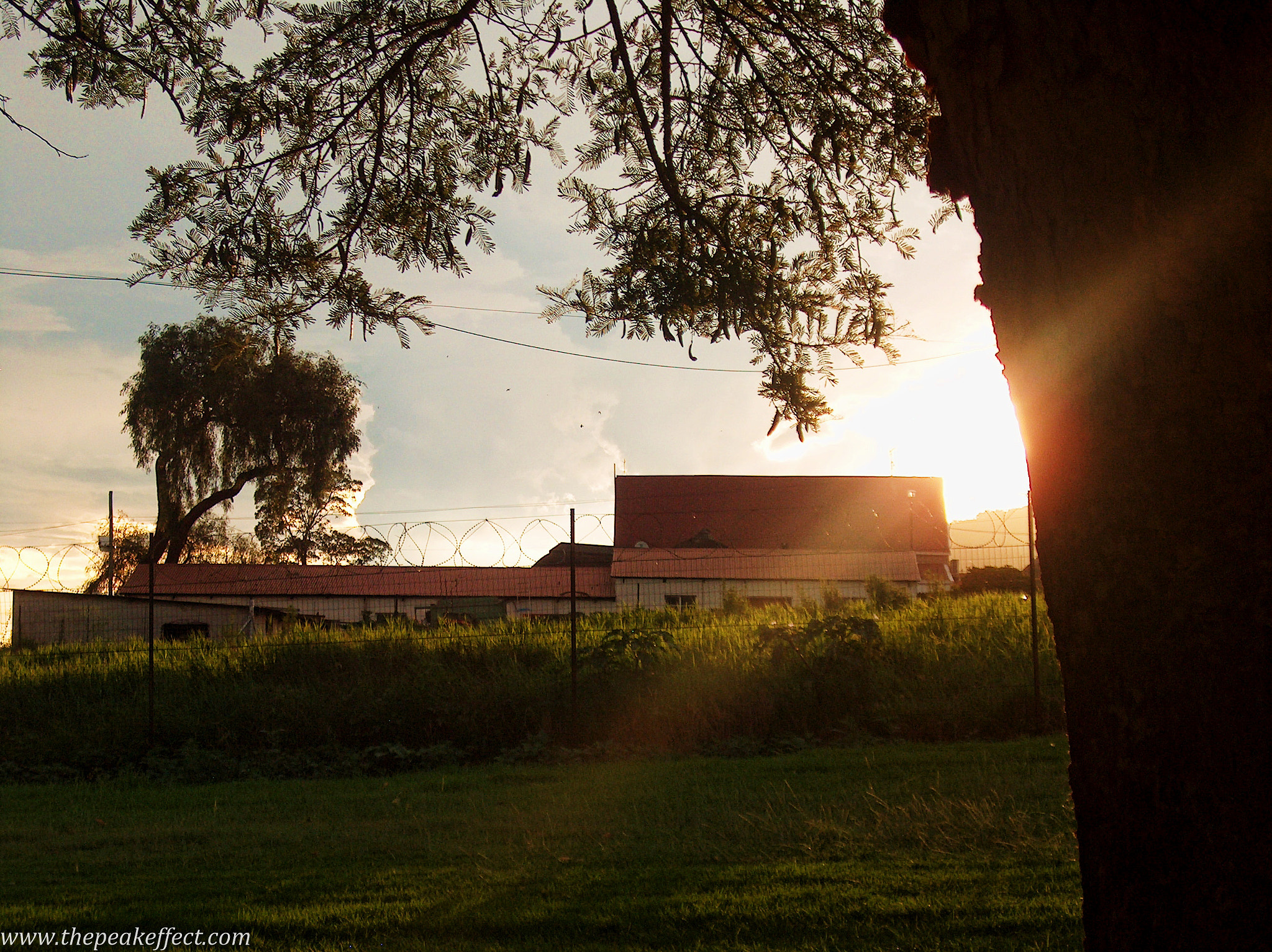 HP PHOTOSMART C935 (V03.61) sample photo. Gauteng farm photography