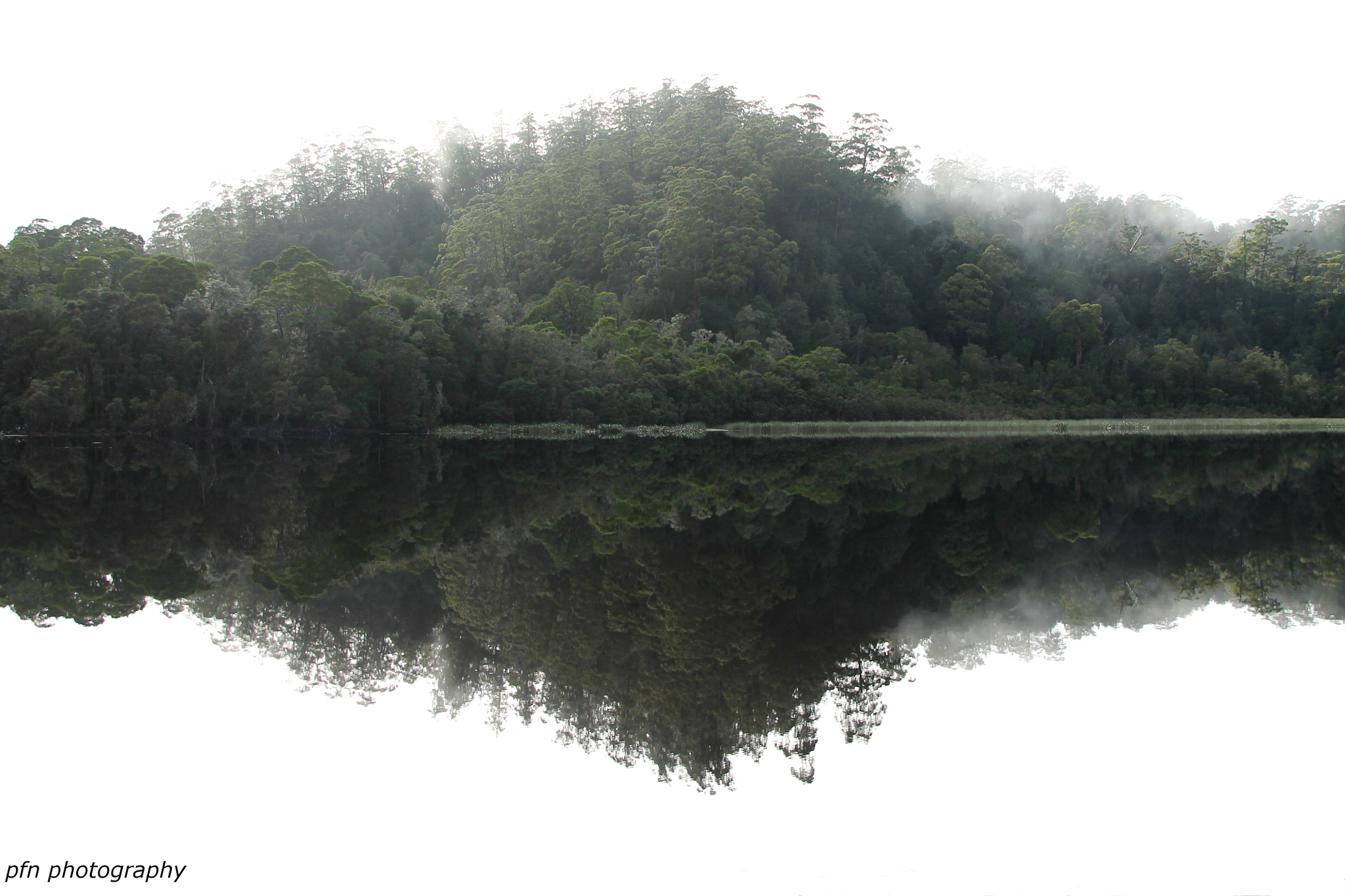 Canon EOS 1100D (EOS Rebel T3 / EOS Kiss X50) sample photo. Reflection on gordan river photography