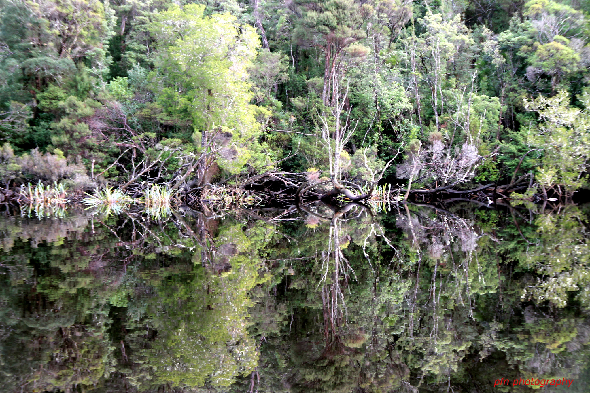 Canon EOS 1100D (EOS Rebel T3 / EOS Kiss X50) sample photo. Reflection on gordan river photography