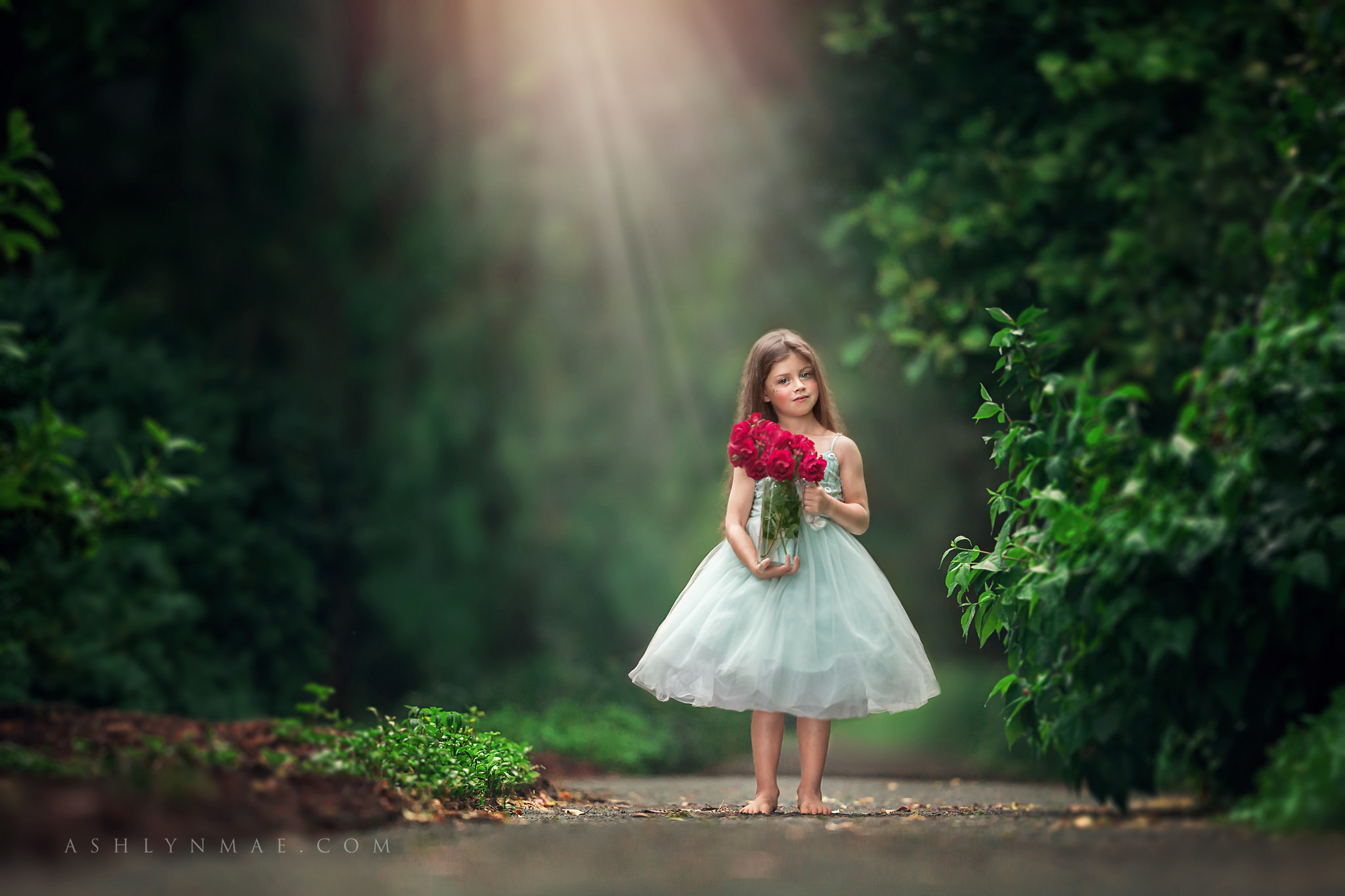 Canon EF 200mm F2L IS USM sample photo. Cherish photography