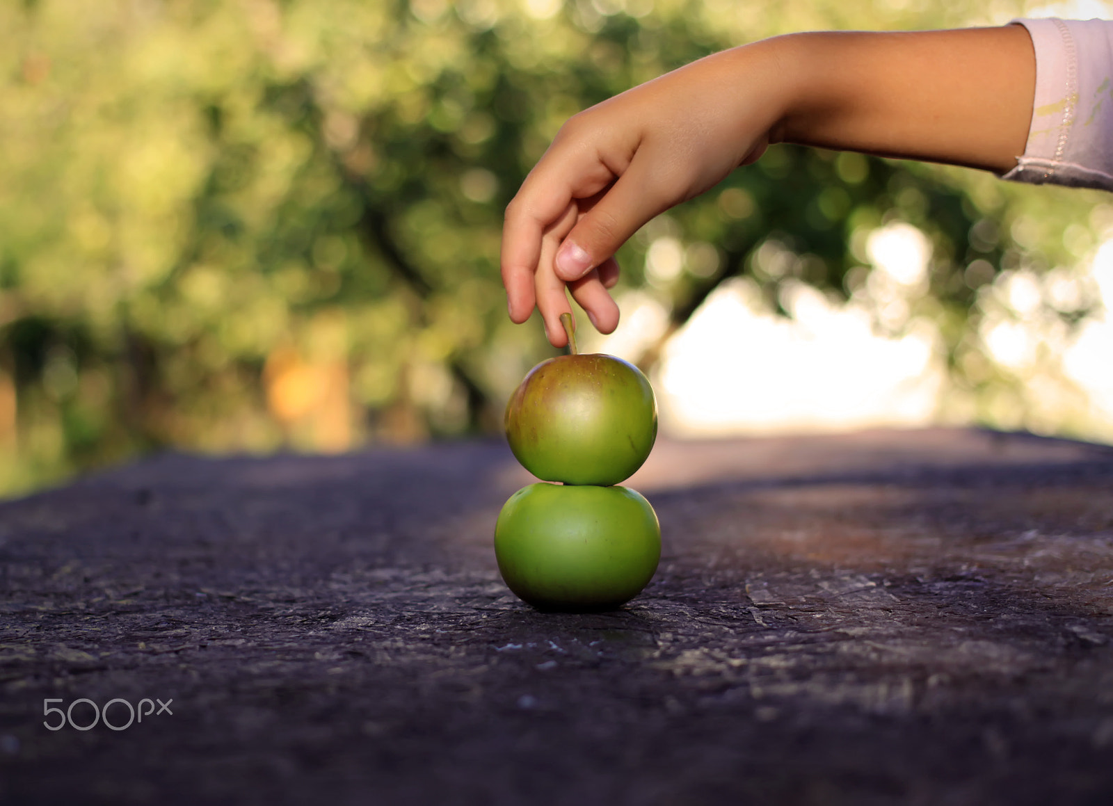 Canon EOS 50D + Canon EF 40mm F2.8 STM sample photo. Summer fruits photography