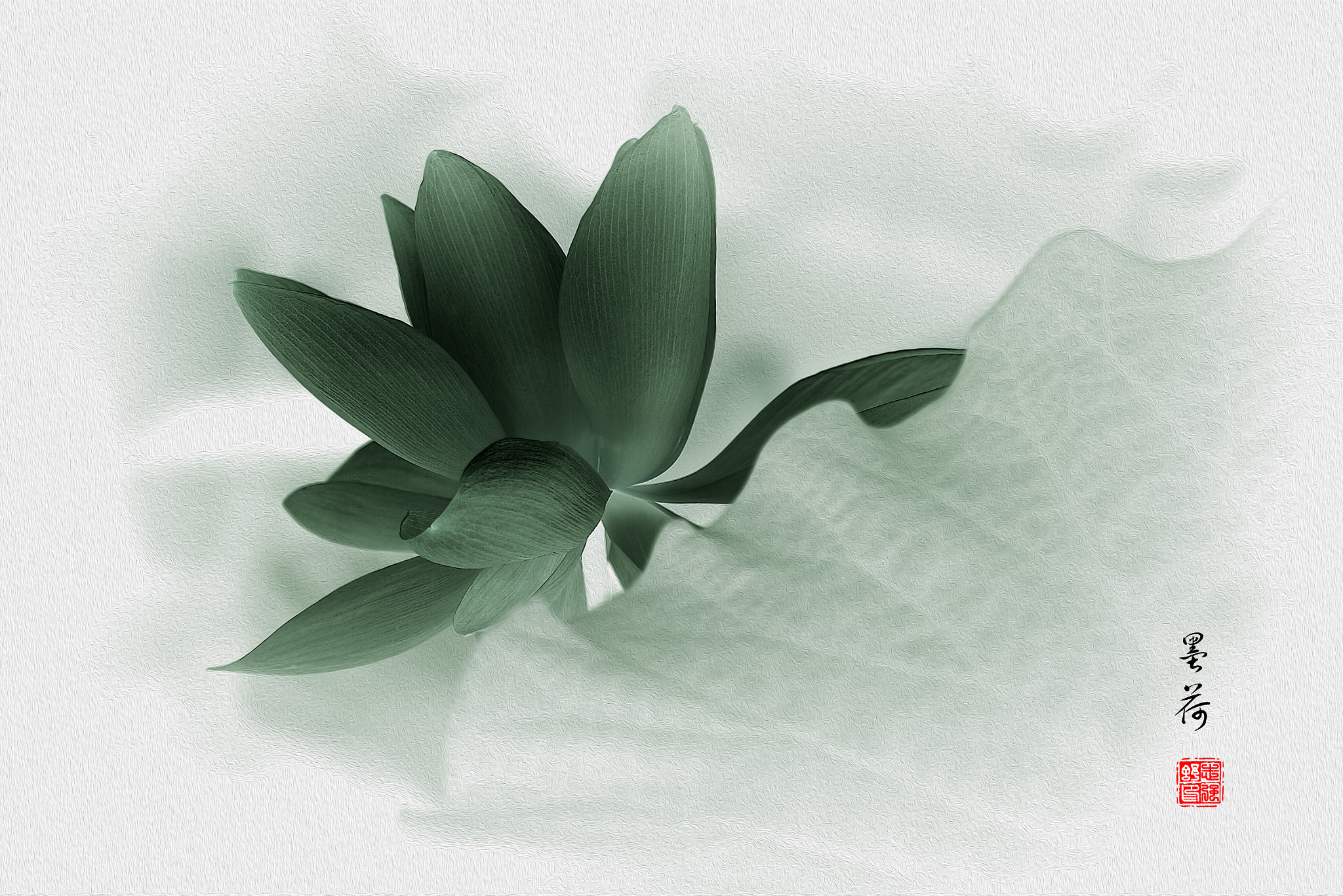 Canon EF 70-200mm F2.8L IS II USM sample photo. Lotus photography