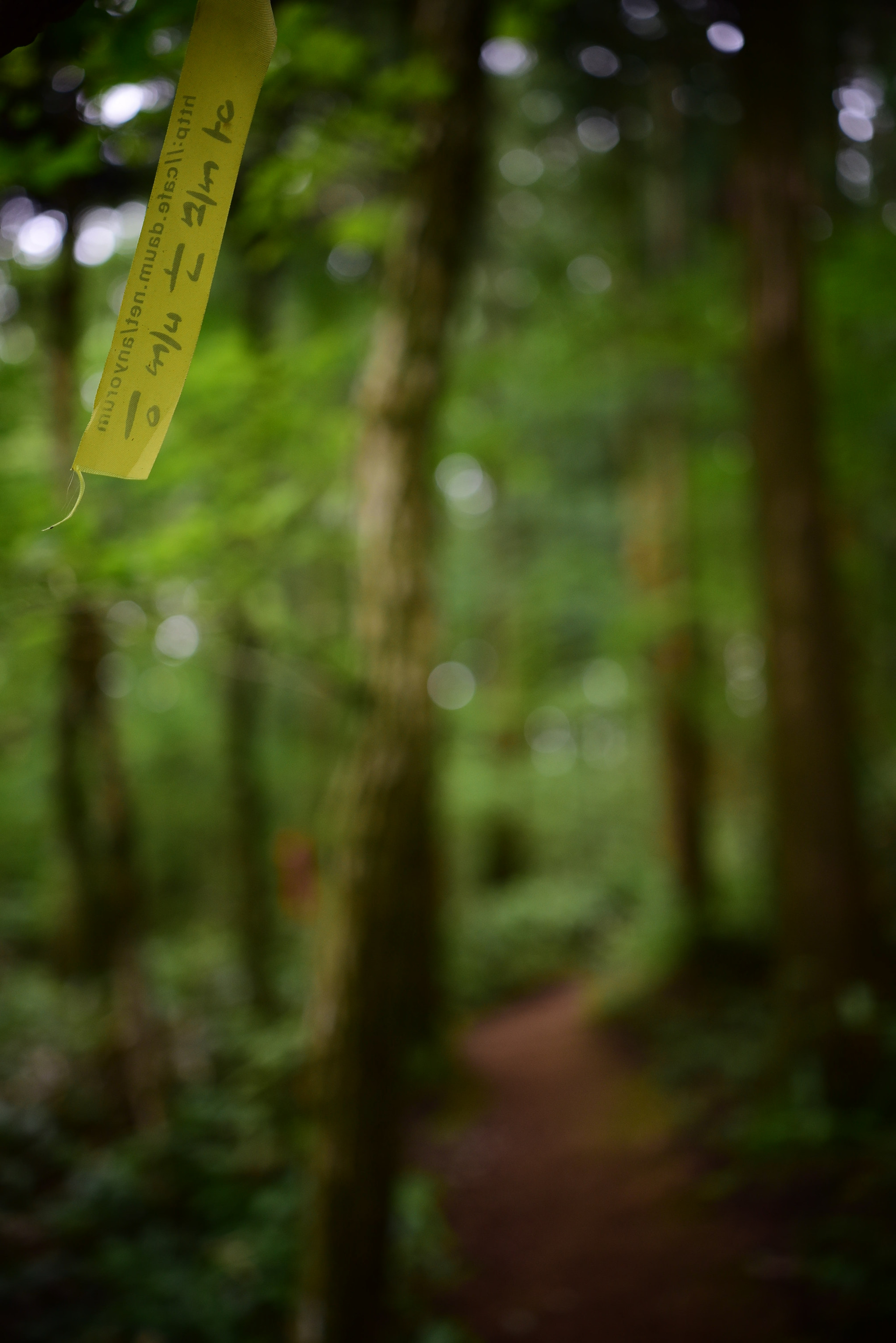 Nikon D750 + Sigma 18-35mm F1.8 DC HSM Art sample photo. Dsc_3636.jpg photography