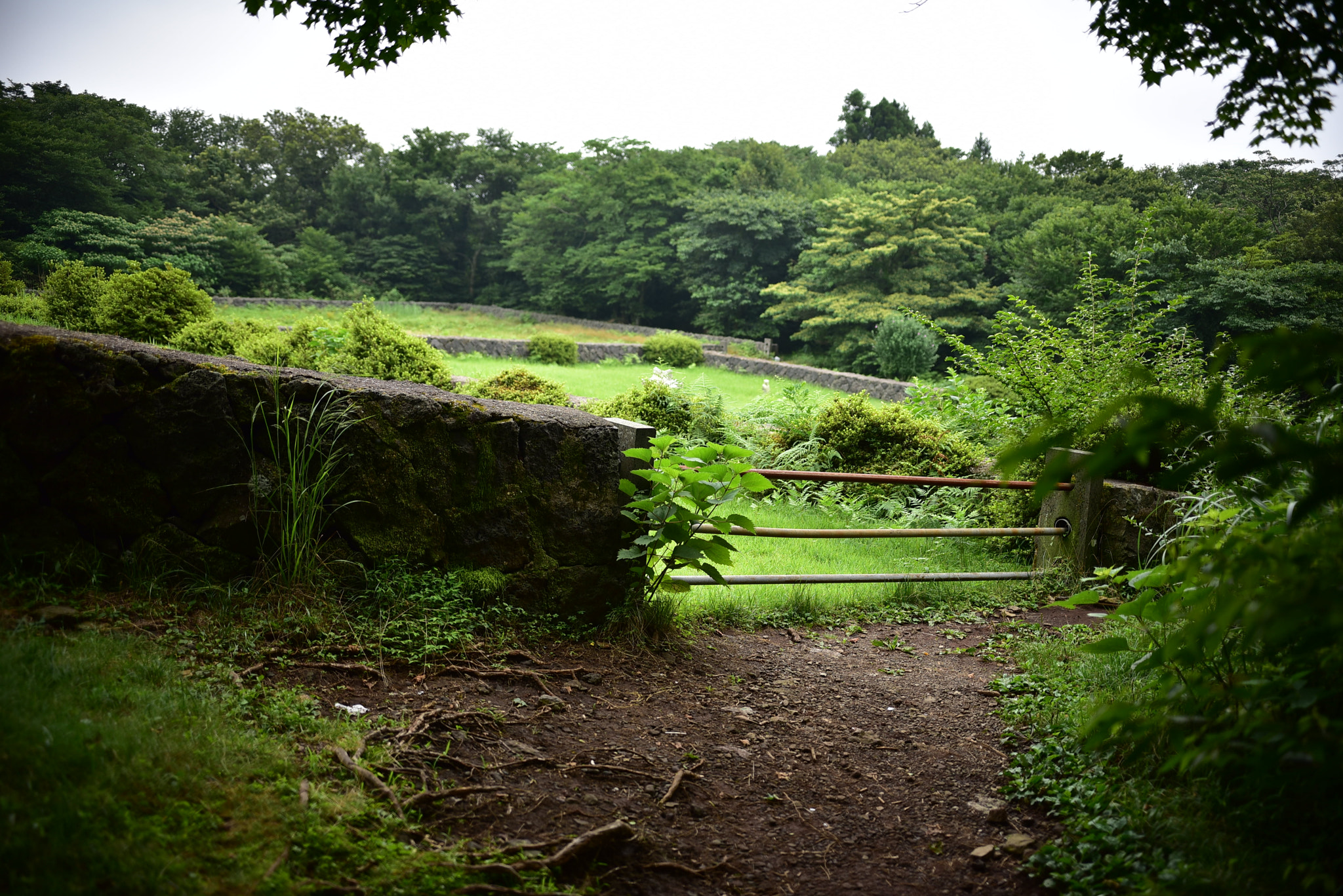 Nikon D750 + Sigma 18-35mm F1.8 DC HSM Art sample photo. Dsc_3660.jpg photography
