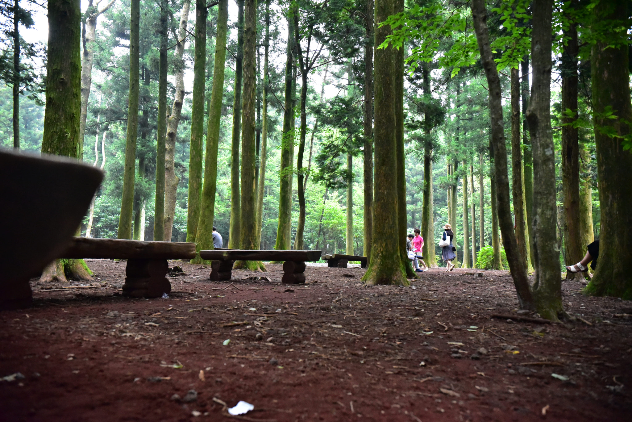 Nikon D750 + Sigma 18-35mm F1.8 DC HSM Art sample photo. Dsc_3694.jpg photography