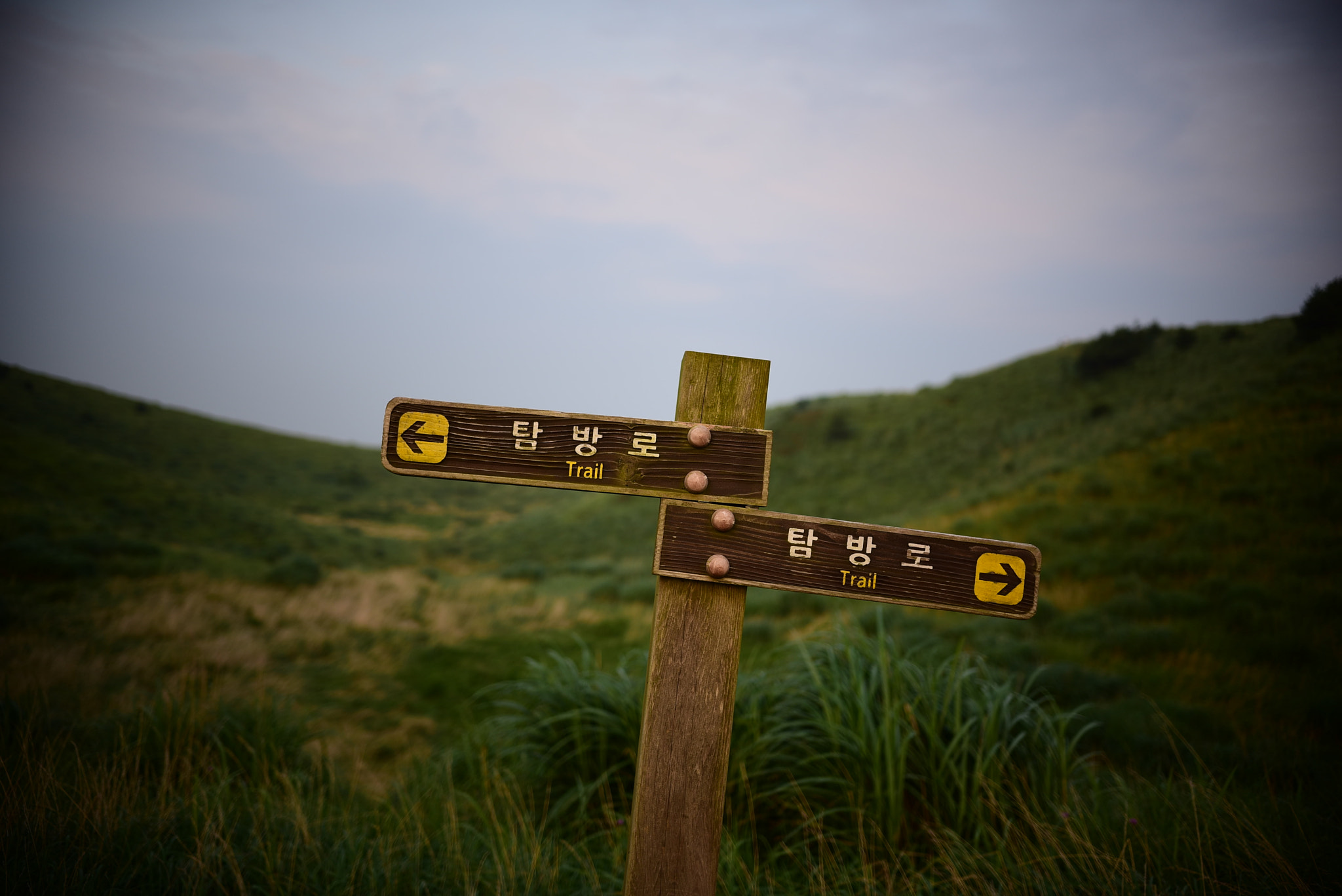 Nikon D750 + Sigma 18-35mm F1.8 DC HSM Art sample photo. Dsc_3501.jpg photography