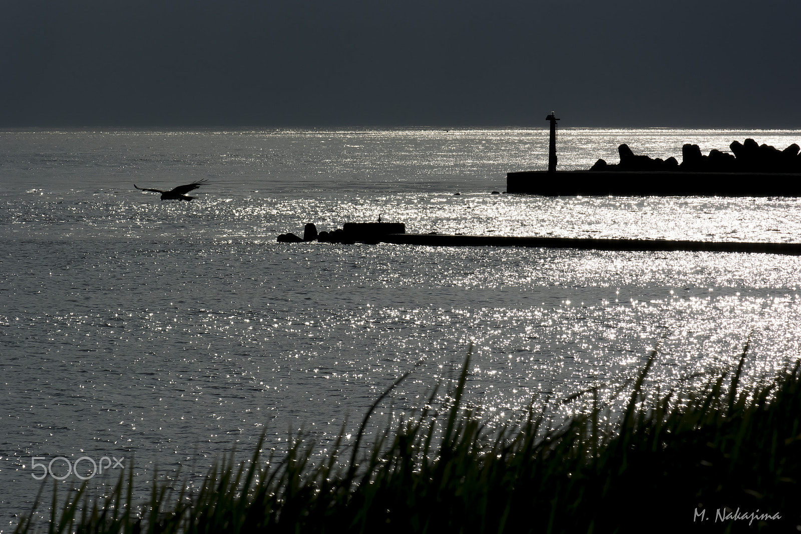 Nikon 1 Nikkor VR 70-300mm F4.5-5.6 sample photo. Sunset photography