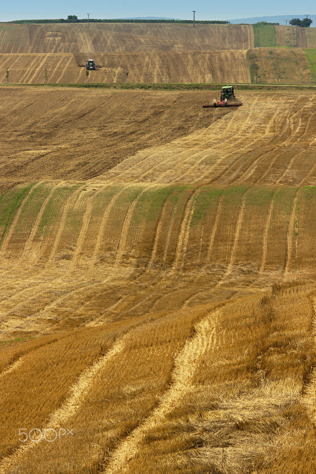 Sigma 150-500mm F5-6.3 DG OS HSM sample photo. After harvest photography
