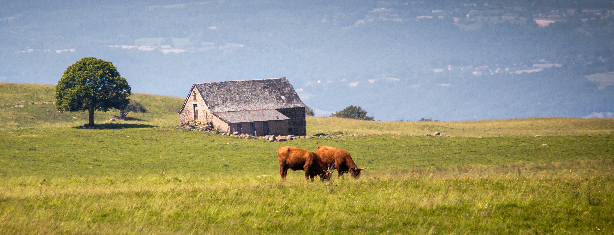 Sigma 150-500mm F5-6.3 DG OS HSM sample photo. Paysage cantalien photography
