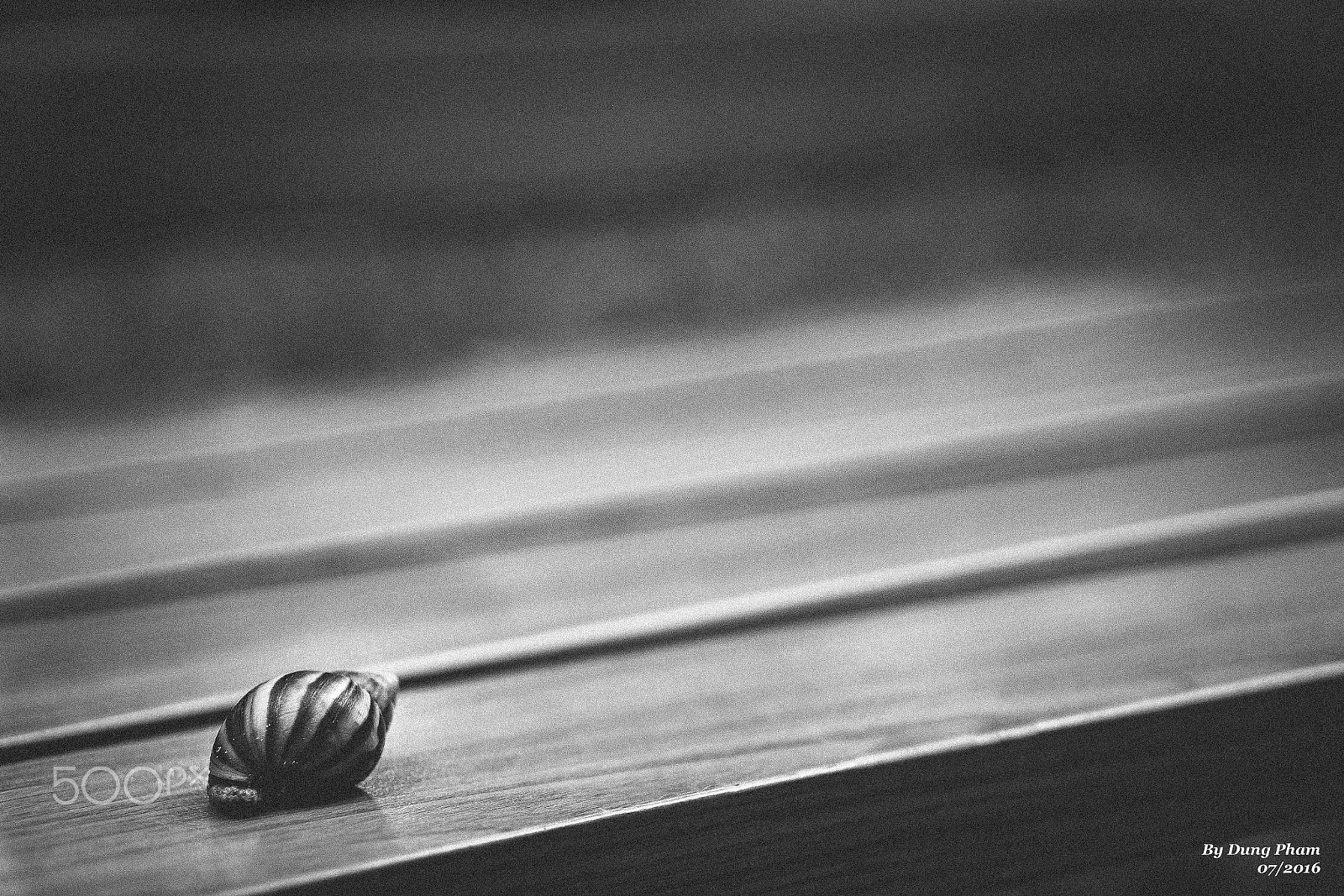 E 50mm F1.8 OSS sample photo. The lazy wanderer photography