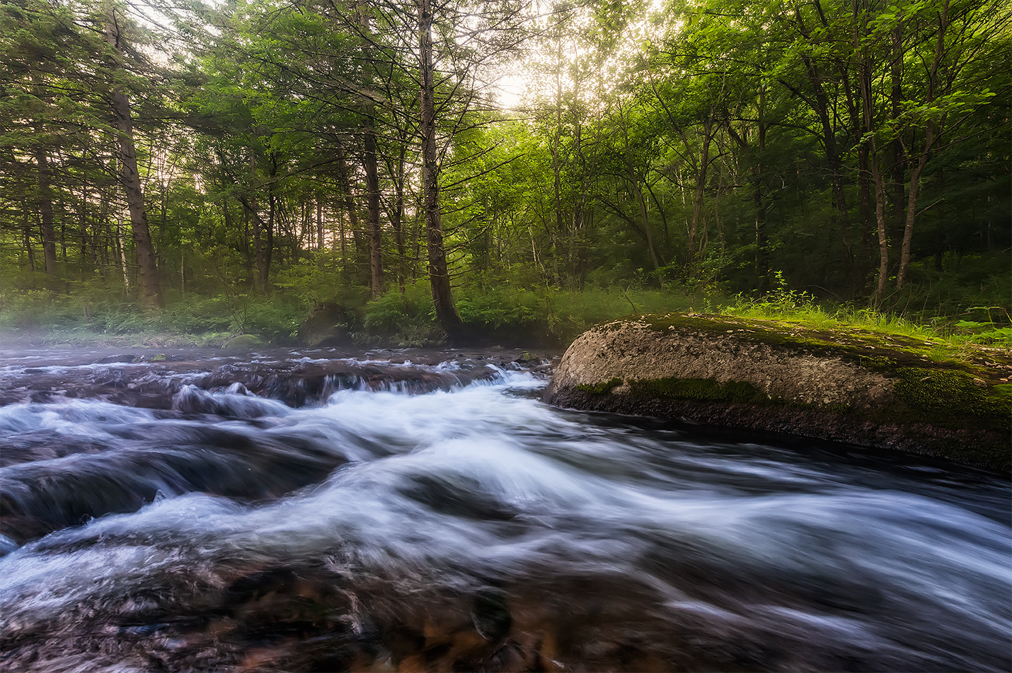 Nikon D3X sample photo. Jungle creek photography