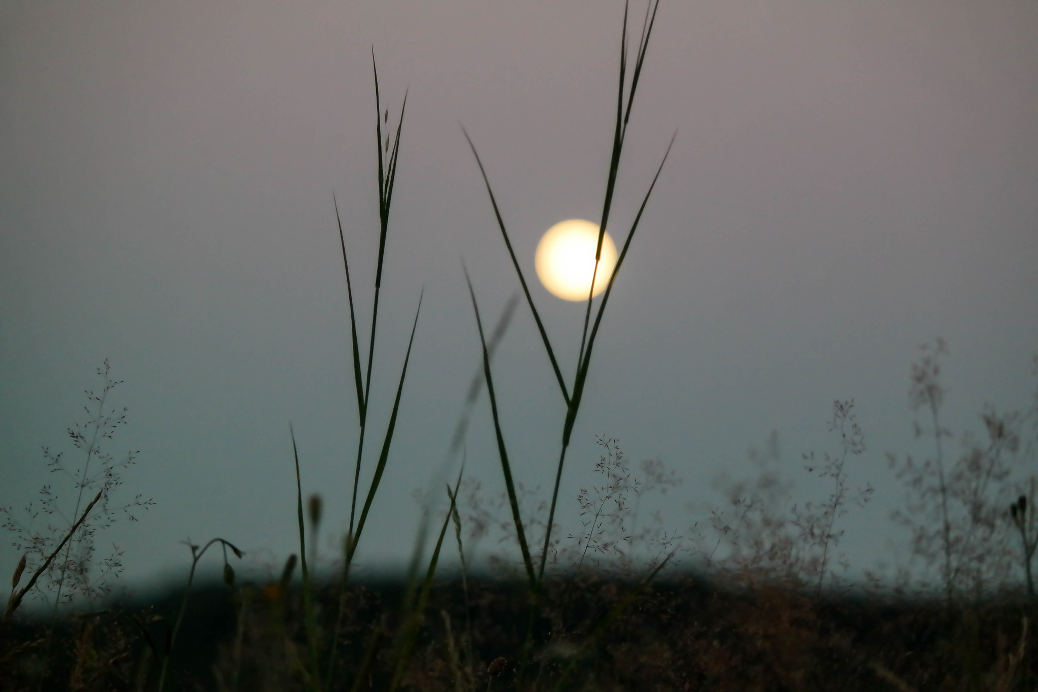 Samsung NX30 + NX 50-200mm F4-5.6 sample photo. Full moon photography