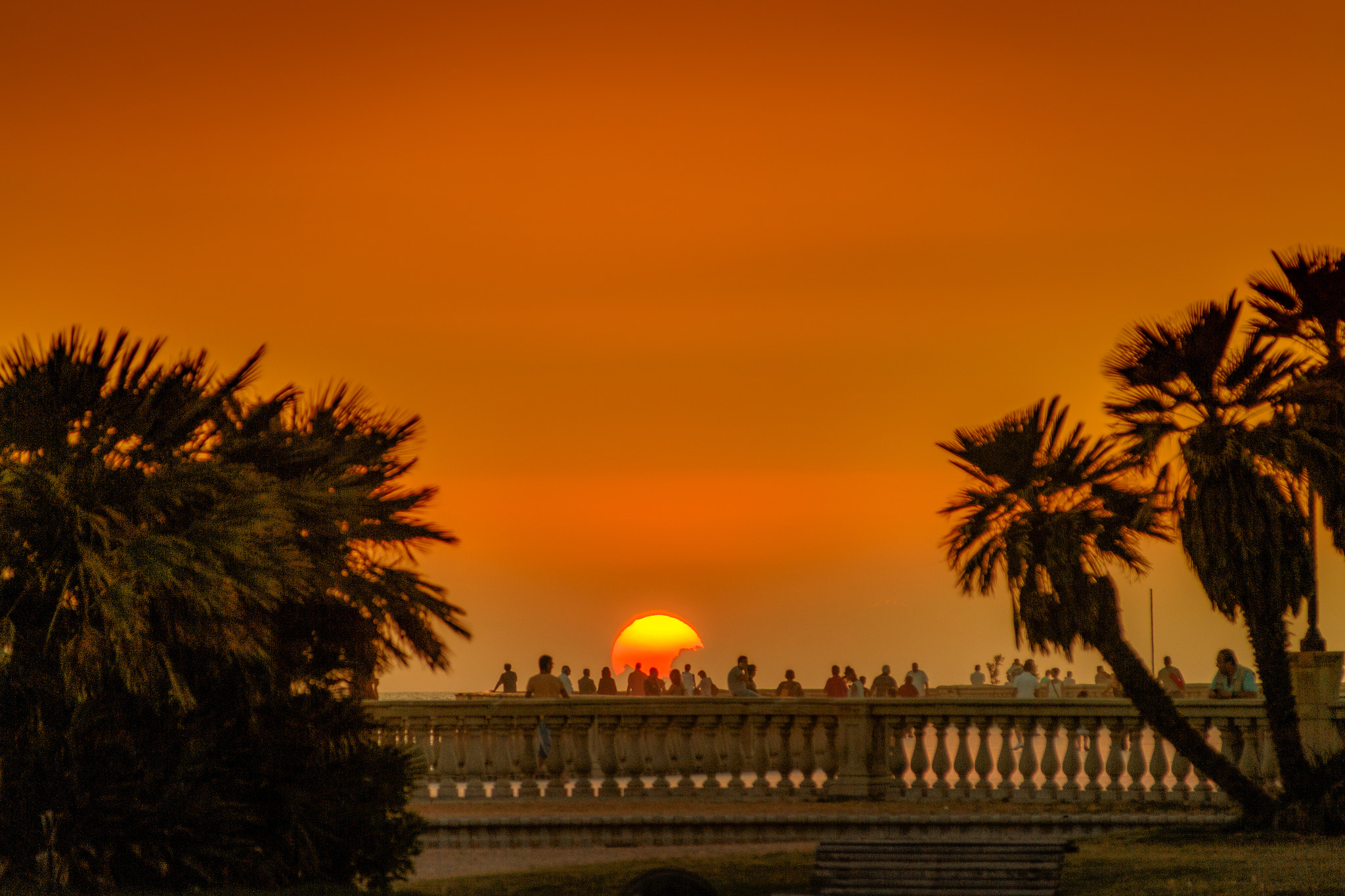 Canon EOS 70D + Canon TS-E 90mm F2.8 Tilt-Shift sample photo. Terrazza mascagni photography