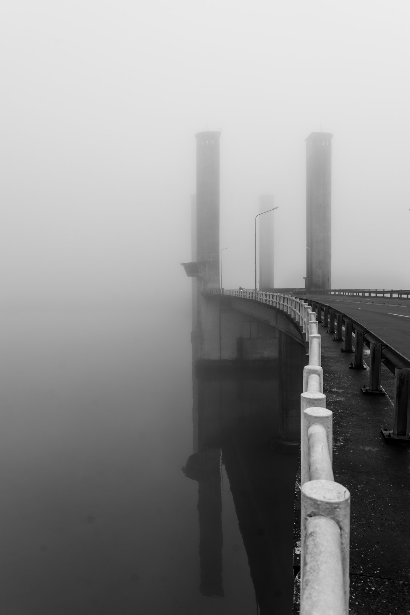 Nikon D600 + Sigma 24-70mm F2.8 EX DG Macro sample photo. Fog bridge photography