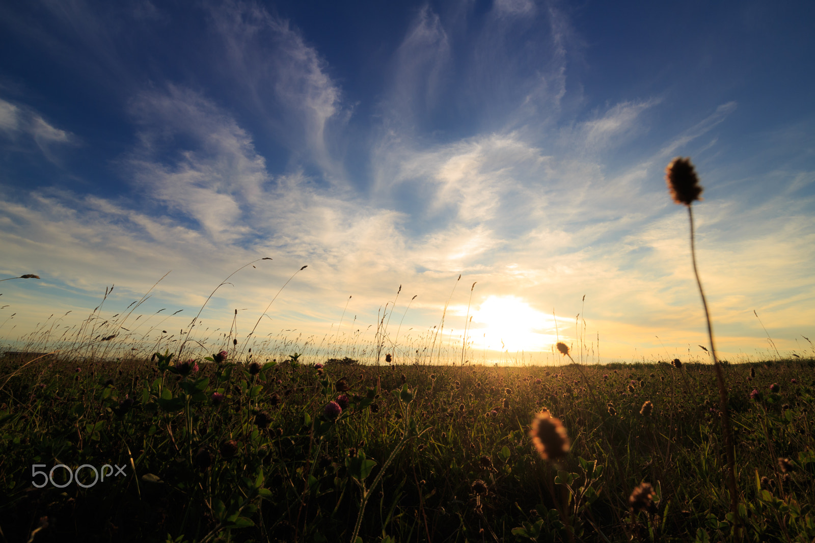 Canon EOS M2 + Canon EF-M 11-22mm F4-5.6 IS STM sample photo. The day now ending photography