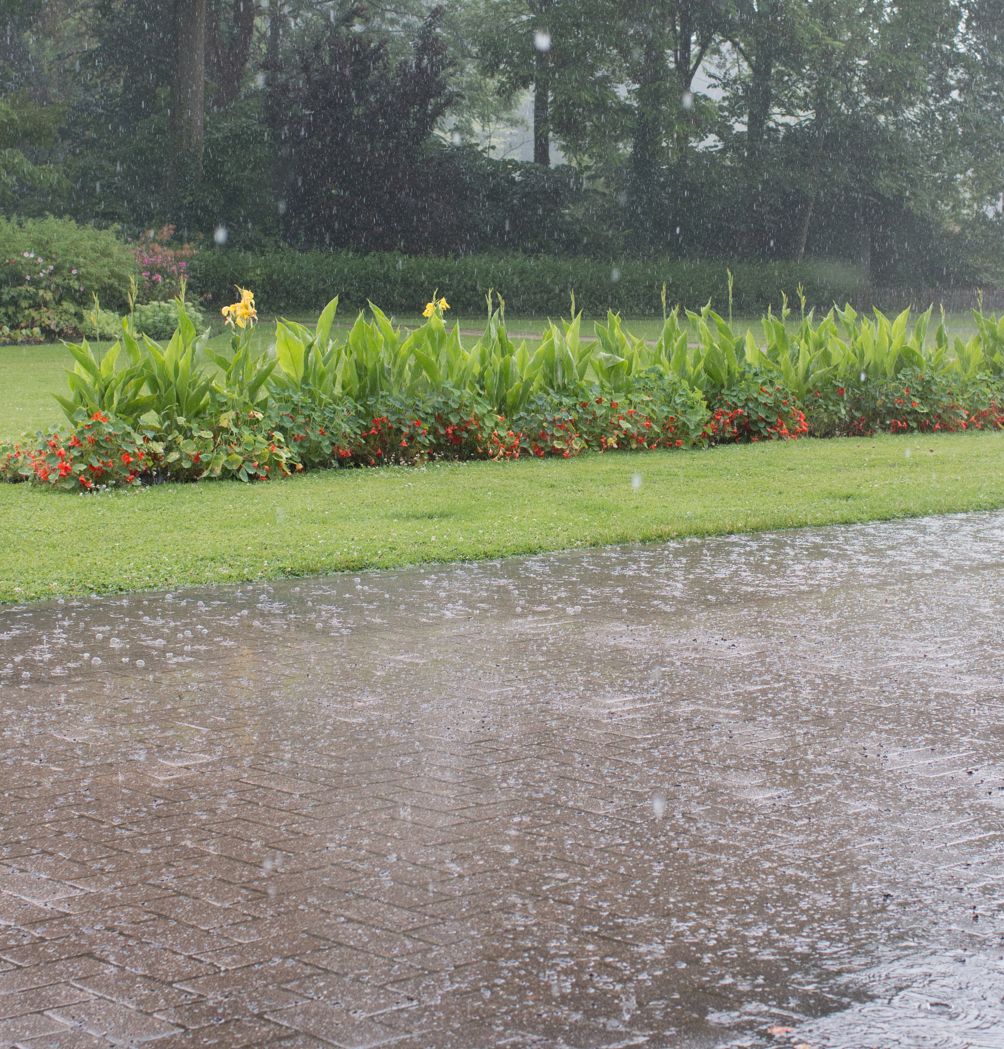 Canon EOS 70D + Canon EF 35mm F1.4L USM sample photo. Raindrops keep faling 1 photography