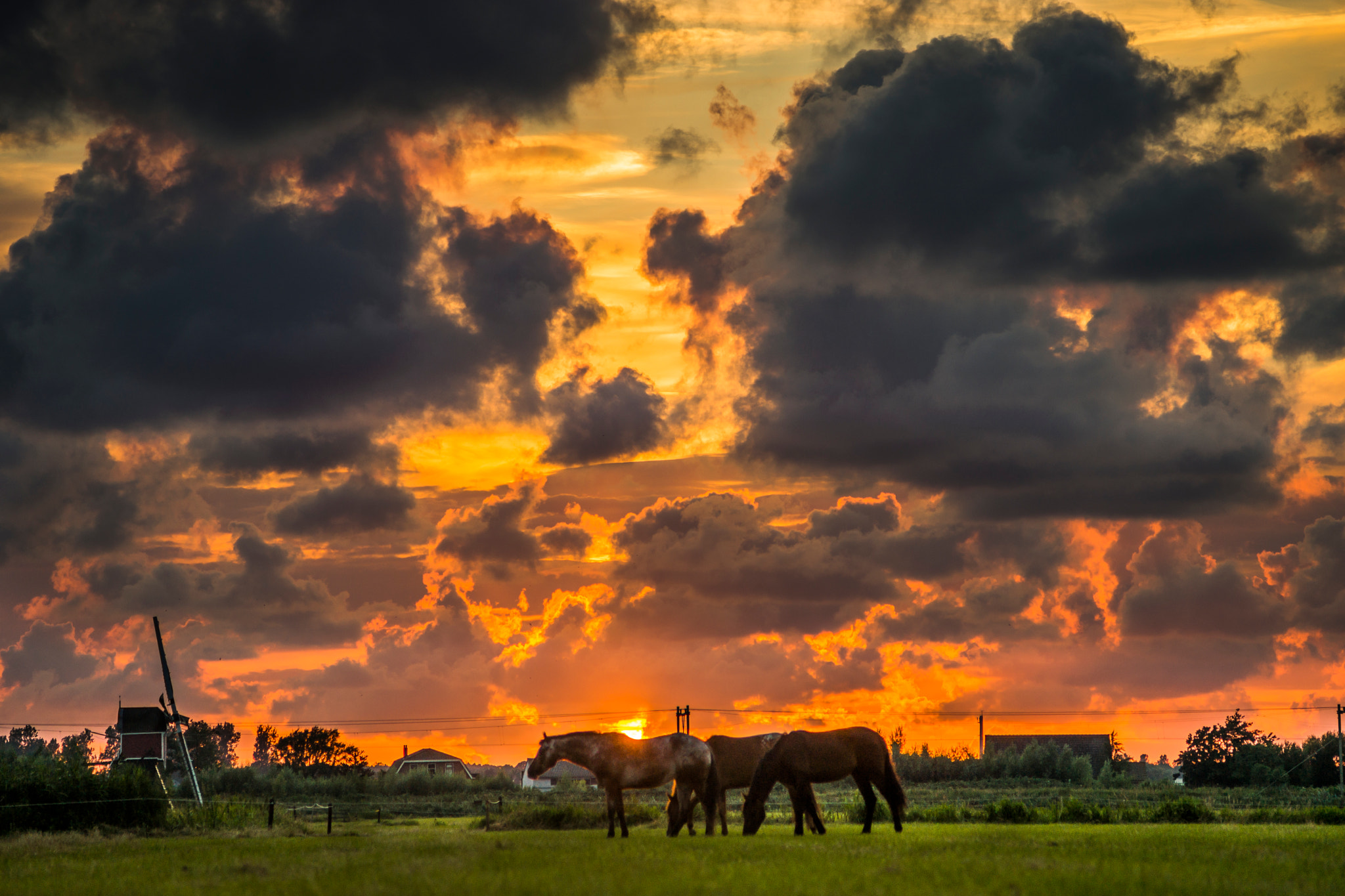 Sony a99 II sample photo. Summer sunset with horses photography