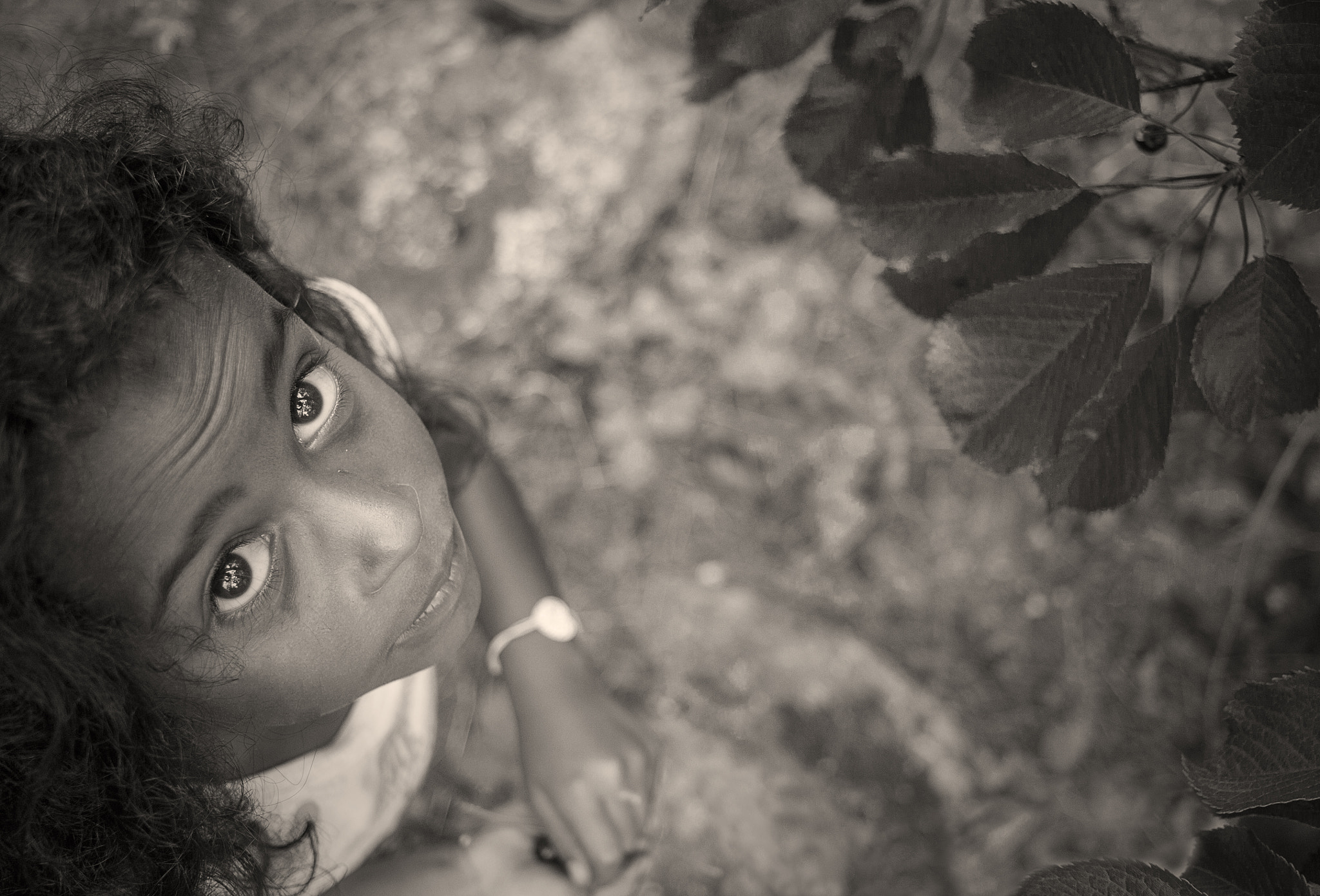 Canon EF-S 24mm F2.8 STM sample photo. Wild cherry photography
