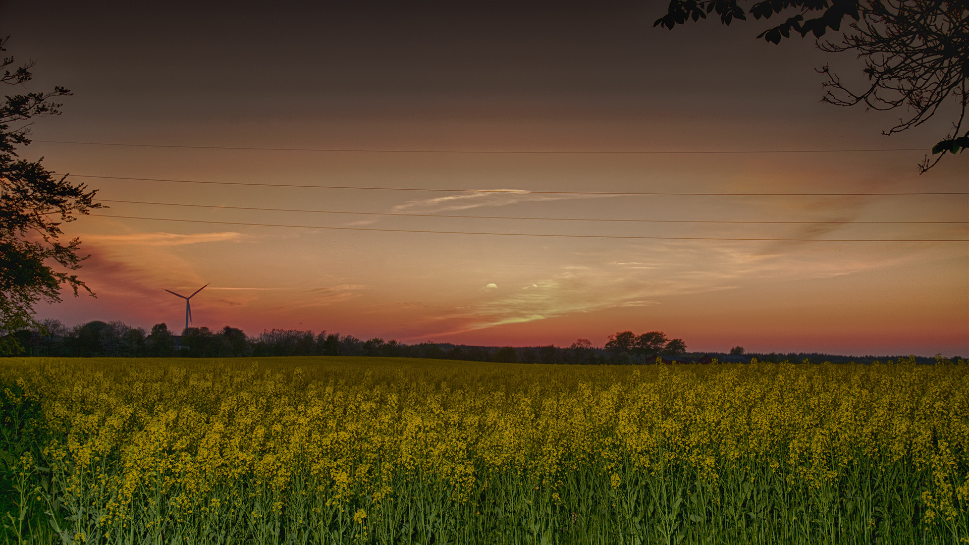 Nikon D300S sample photo. Solnedgang over rapsmark photography
