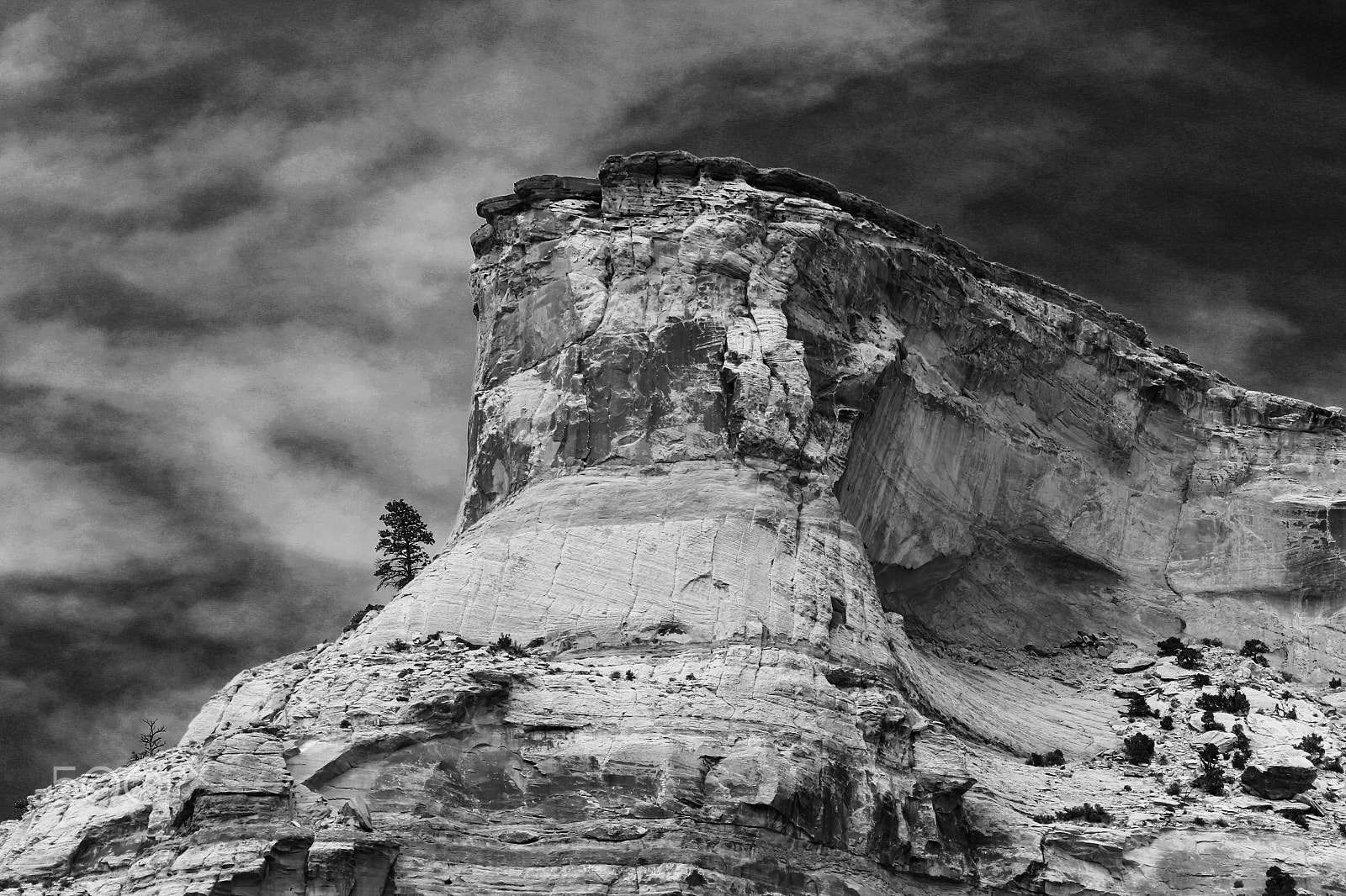 Canon EF 70-300mm F4-5.6 IS USM sample photo. Lone pine photography