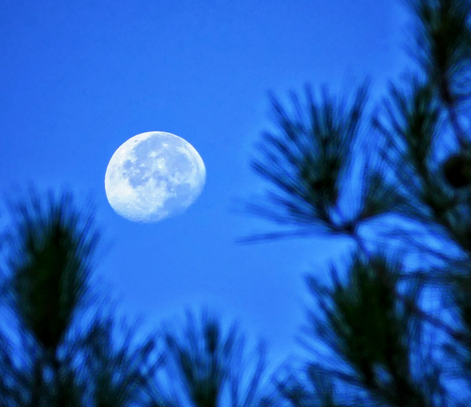 Panasonic DMC-TZ110 sample photo. Morning moon photography