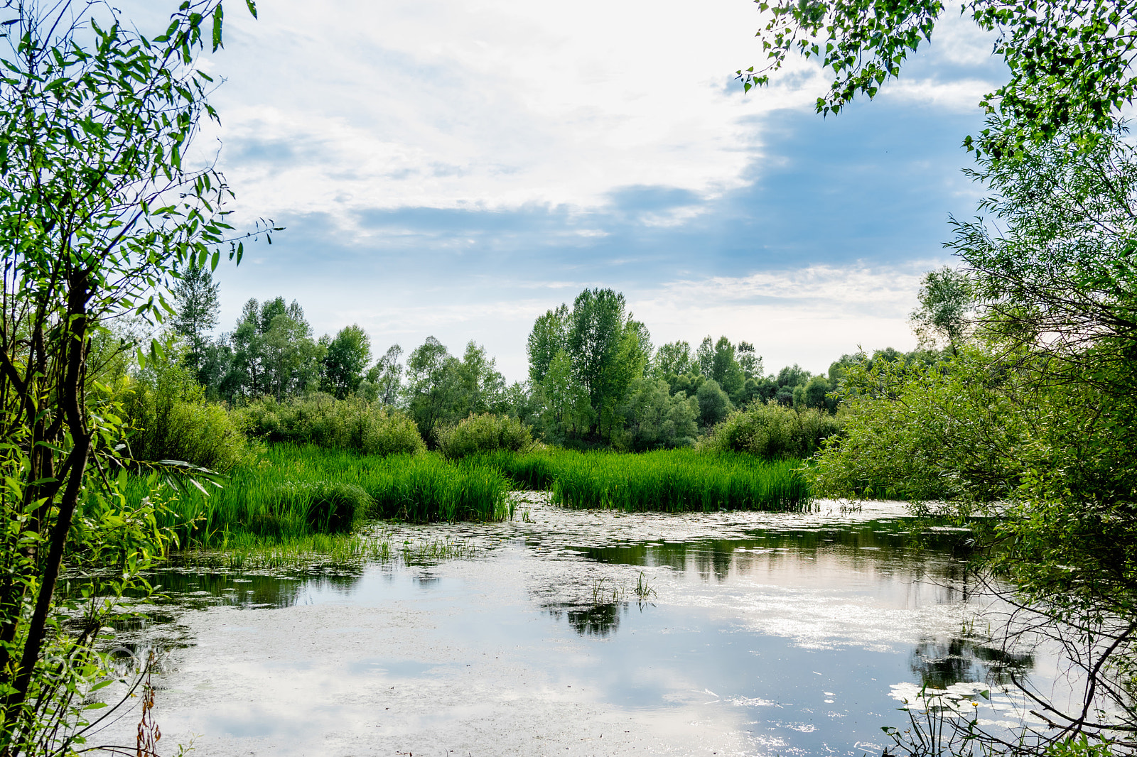 Nikon AF-S Nikkor 24-120mm F4G ED VR sample photo. The old riverbed photography