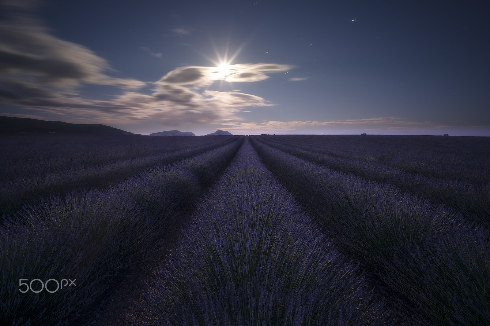 Sony a7R II + Voigtlander SUPER WIDE-HELIAR 15mm F4.5 III sample photo. Lavender by night photography