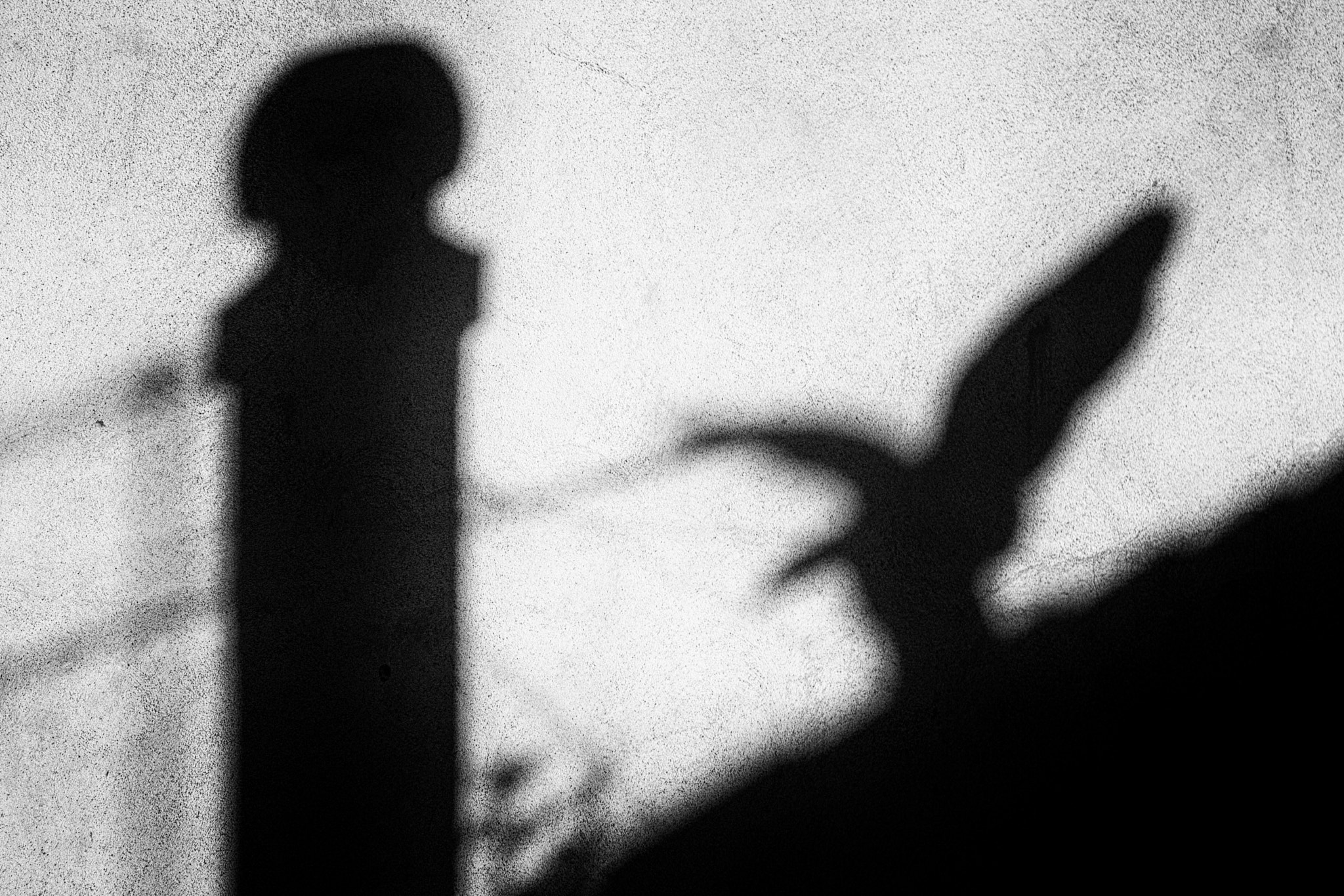 Canon EOS 1000D (EOS Digital Rebel XS / EOS Kiss F) sample photo. Shadows at home (a view from the bathroom) photography
