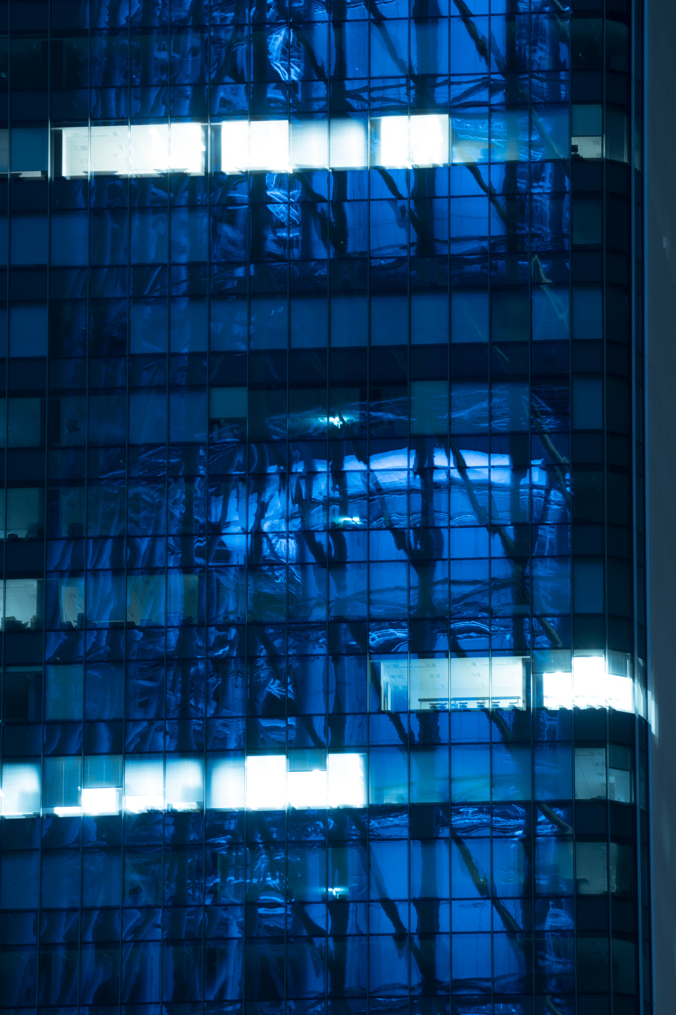 Sony a6300 + Sony FE 70-200mm F4 G OSS sample photo. Blue reflection photography