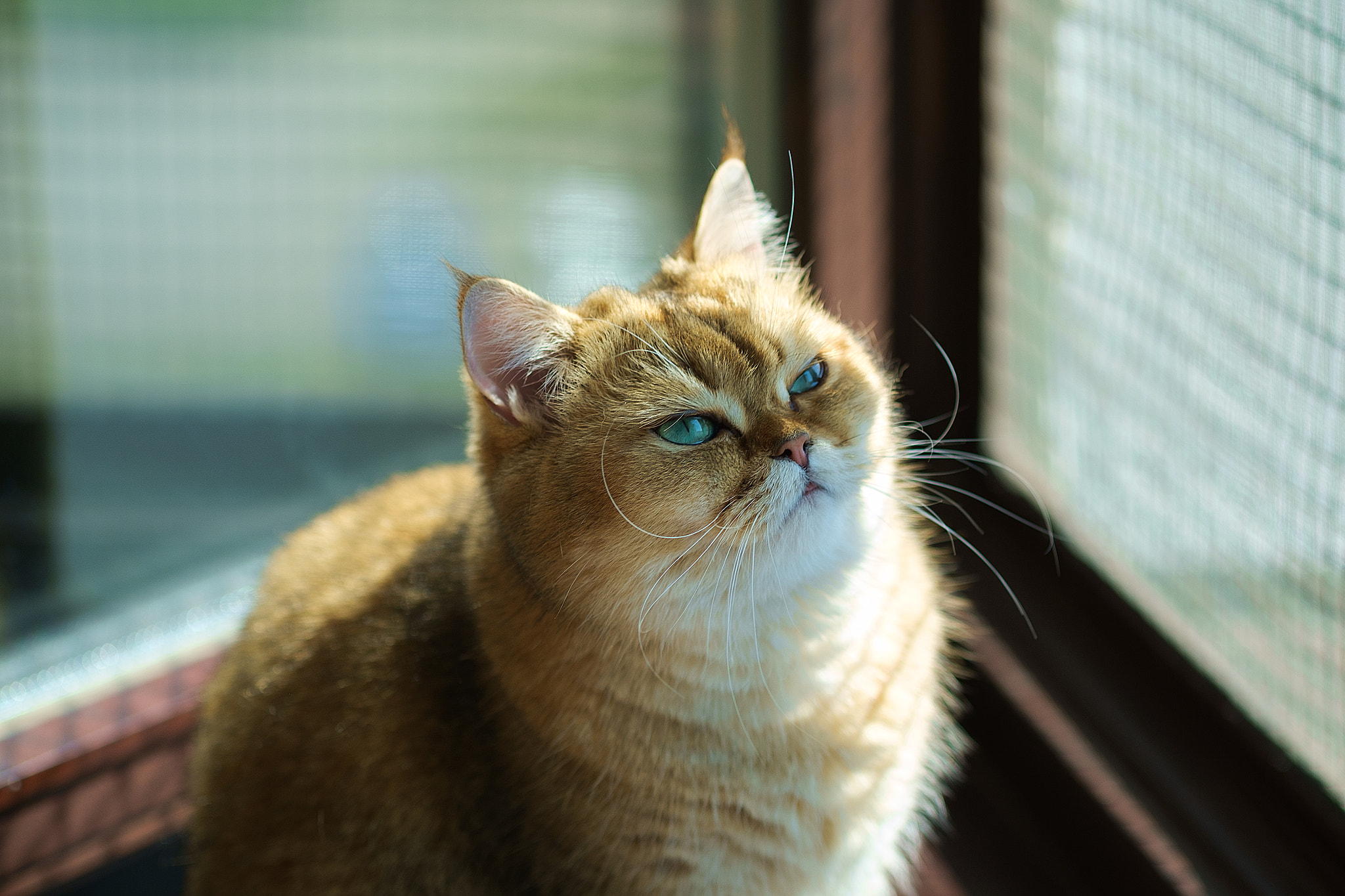 Fujifilm X-Pro1 + Fujifilm XF 60mm F2.4 R Macro sample photo. Mint photography