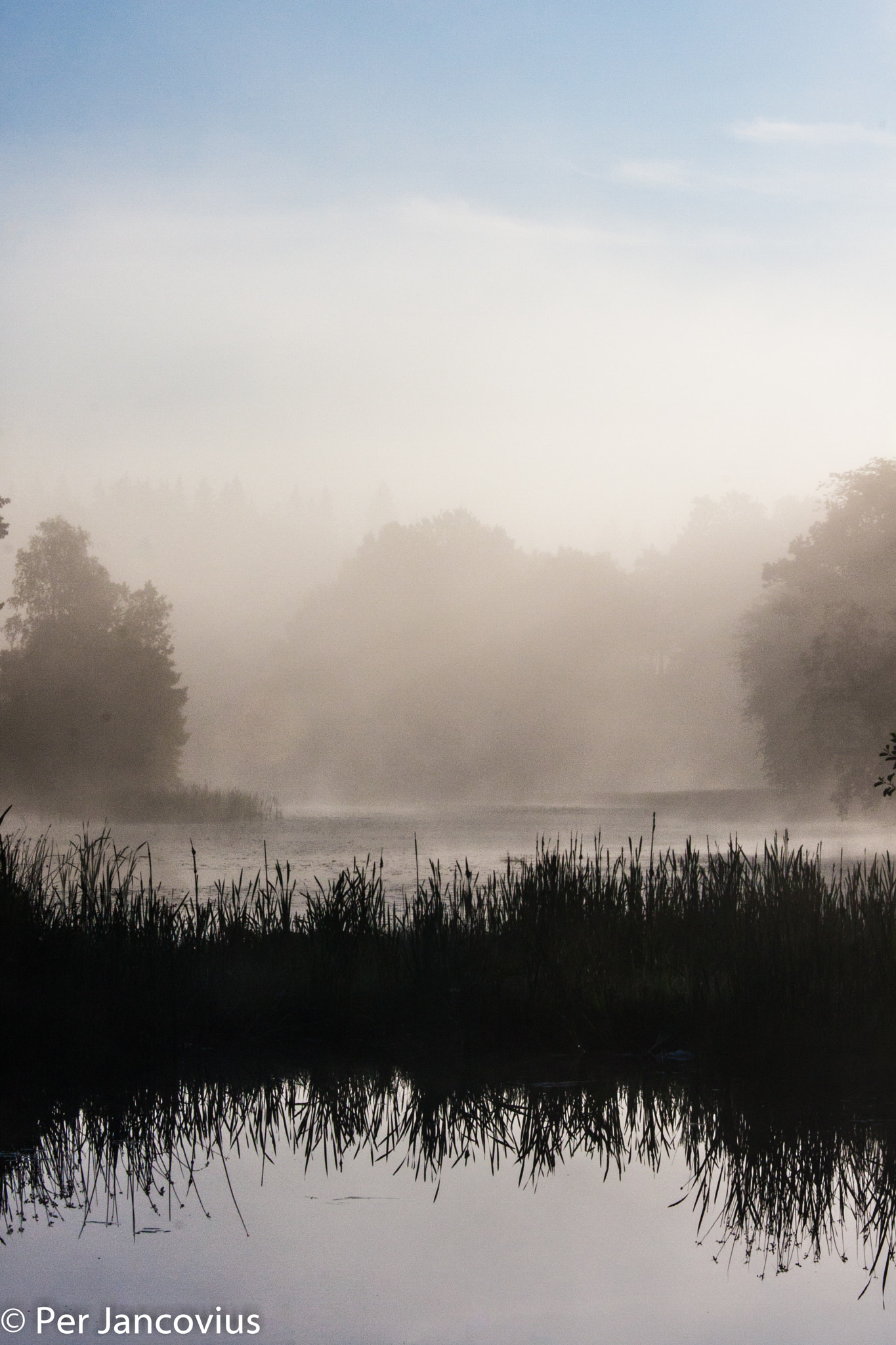 Canon EOS 40D sample photo. Misty morning photography