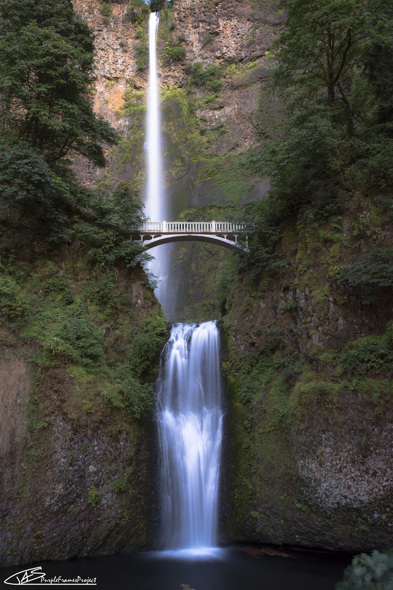 Sigma 18-50mm F2.8-4.5 DC OS HSM sample photo. Multnomah photography