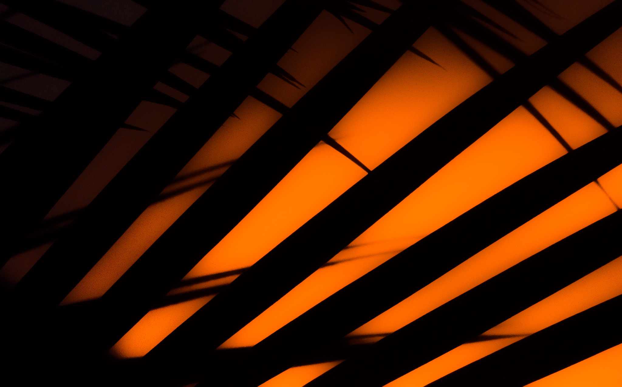 Panasonic Lumix G Vario 45-200mm F4-5.6 OIS sample photo. Sunset through the fronds photography
