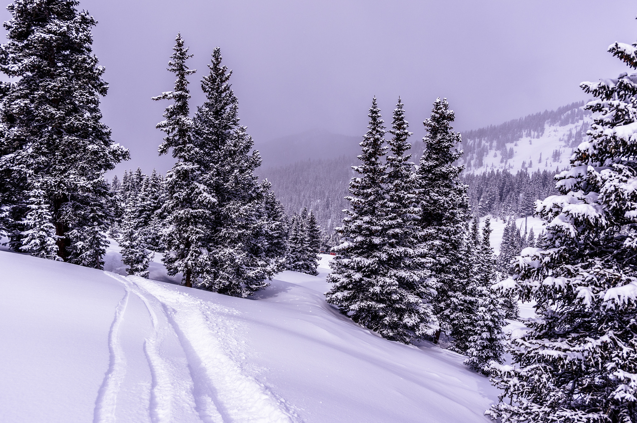 Pentax K-3 + HD Pentax DA 15mm F4 ED AL Limited sample photo. Powder day photography