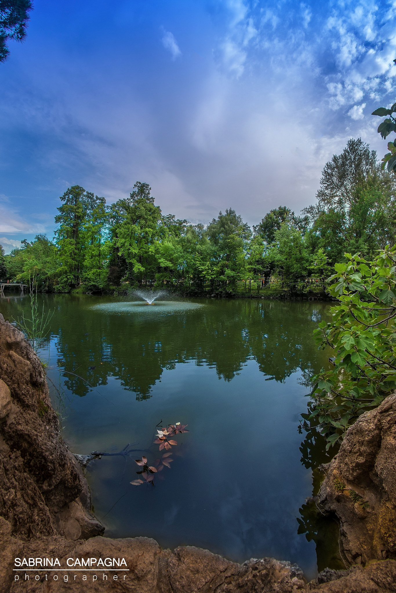 Nikon D810 + Samyang 8mm F3.5 Aspherical IF MC Fisheye sample photo. Bologna | giardini margherita | lake photography